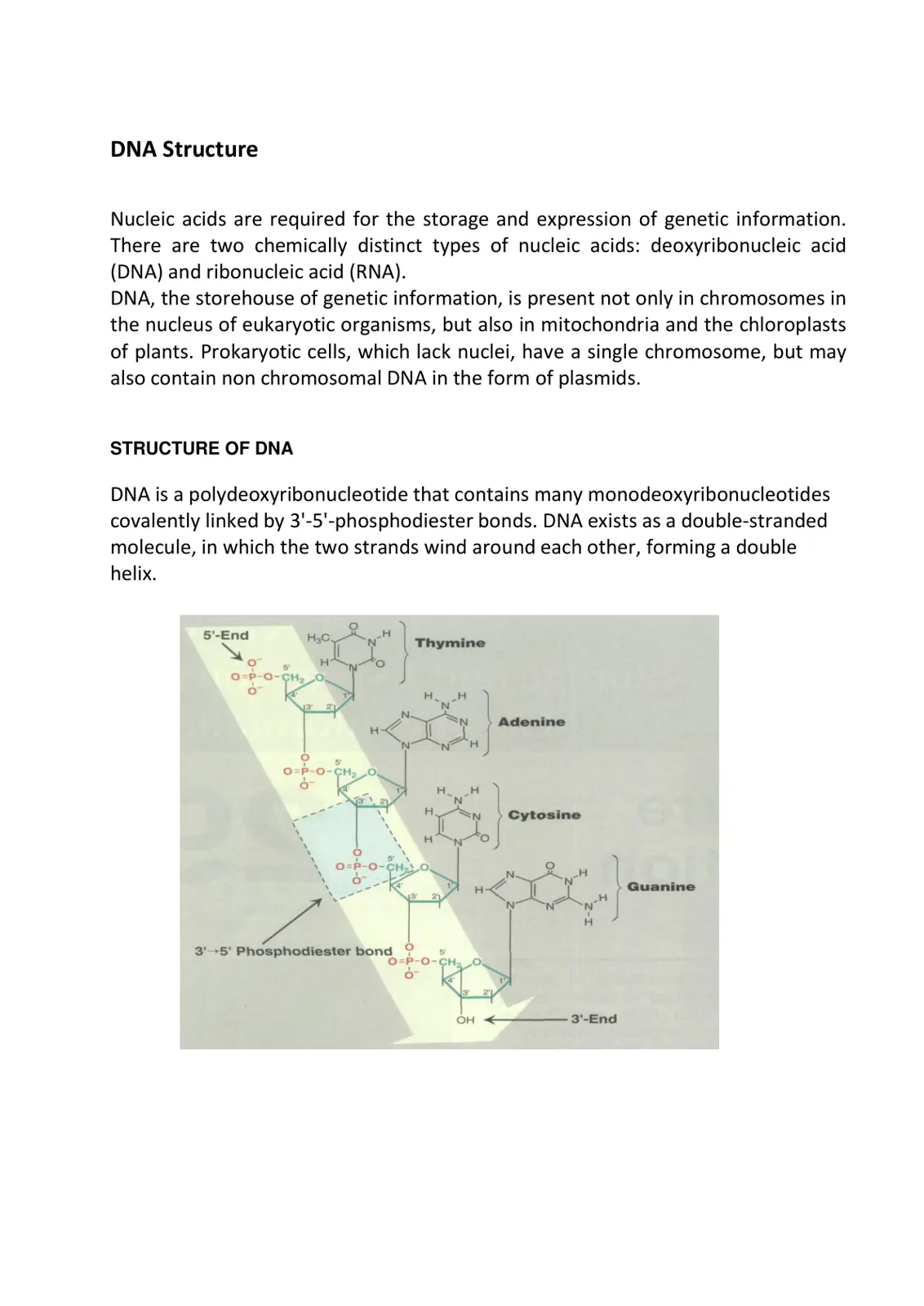 غلاف تقرير DNA Structure