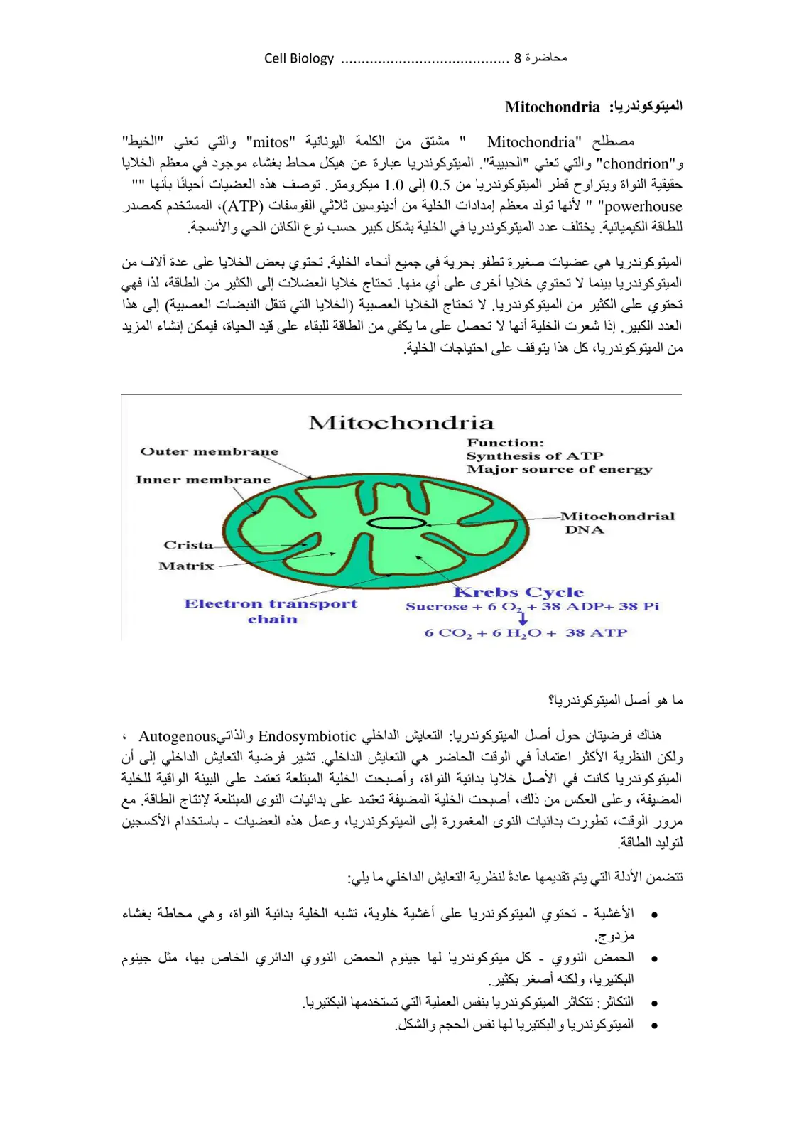 غلاف تقرير الميتوكوندريا Mitochondria - محاضرة 8