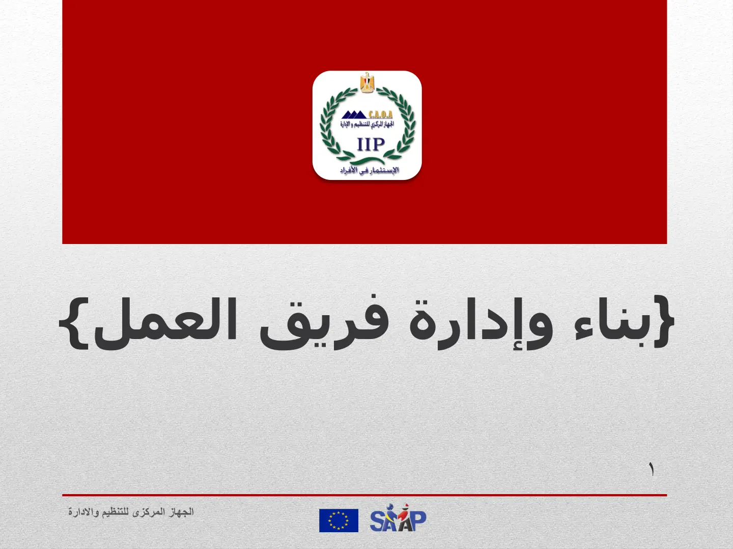 غلاف تقرير الاستثمار في الأفراد - بناء وإدارة فريق العمل