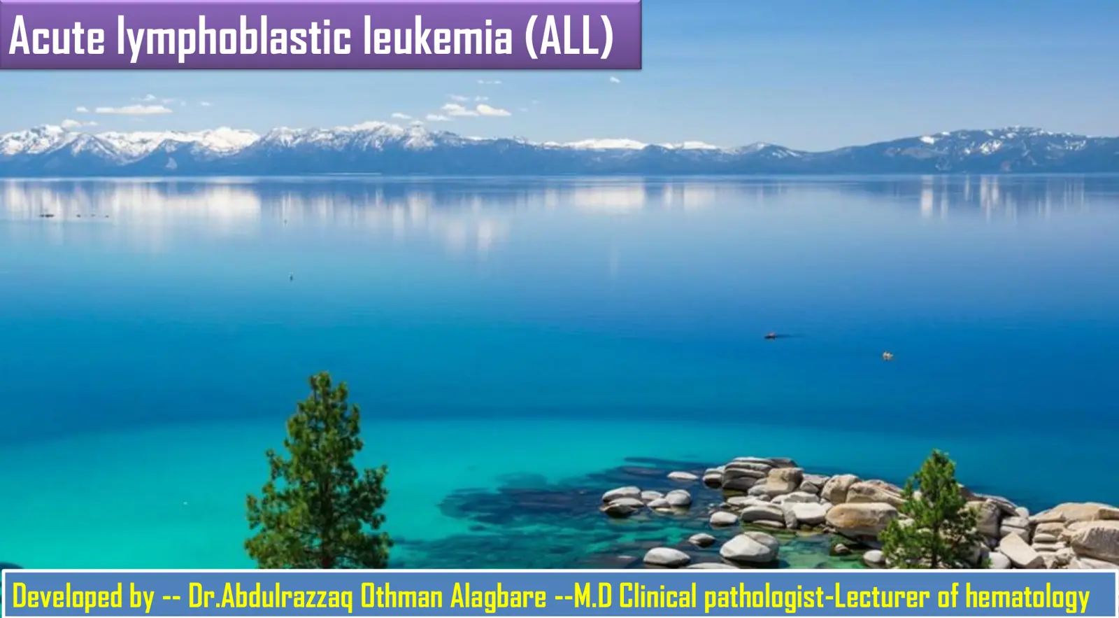 غلاف تقرير Acute Lymphoblastic Leukemia (ALL)
