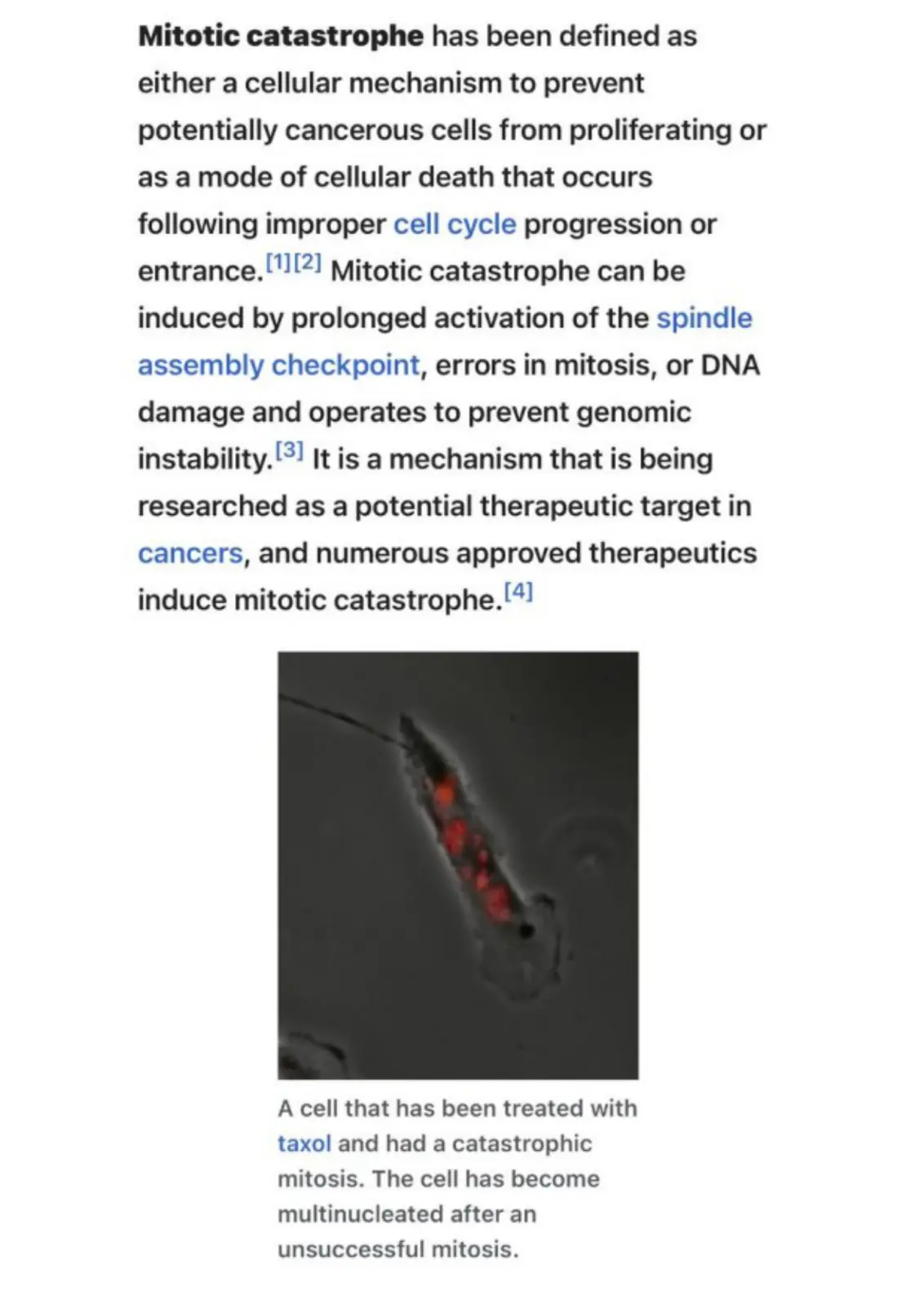 غلاف تقرير Mitotic Catastrophe