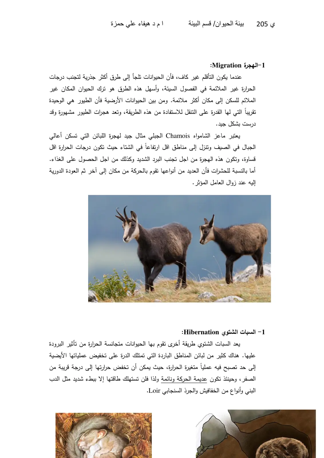 غلاف تقرير بيئة الحيوان: الهجرة (Migration)