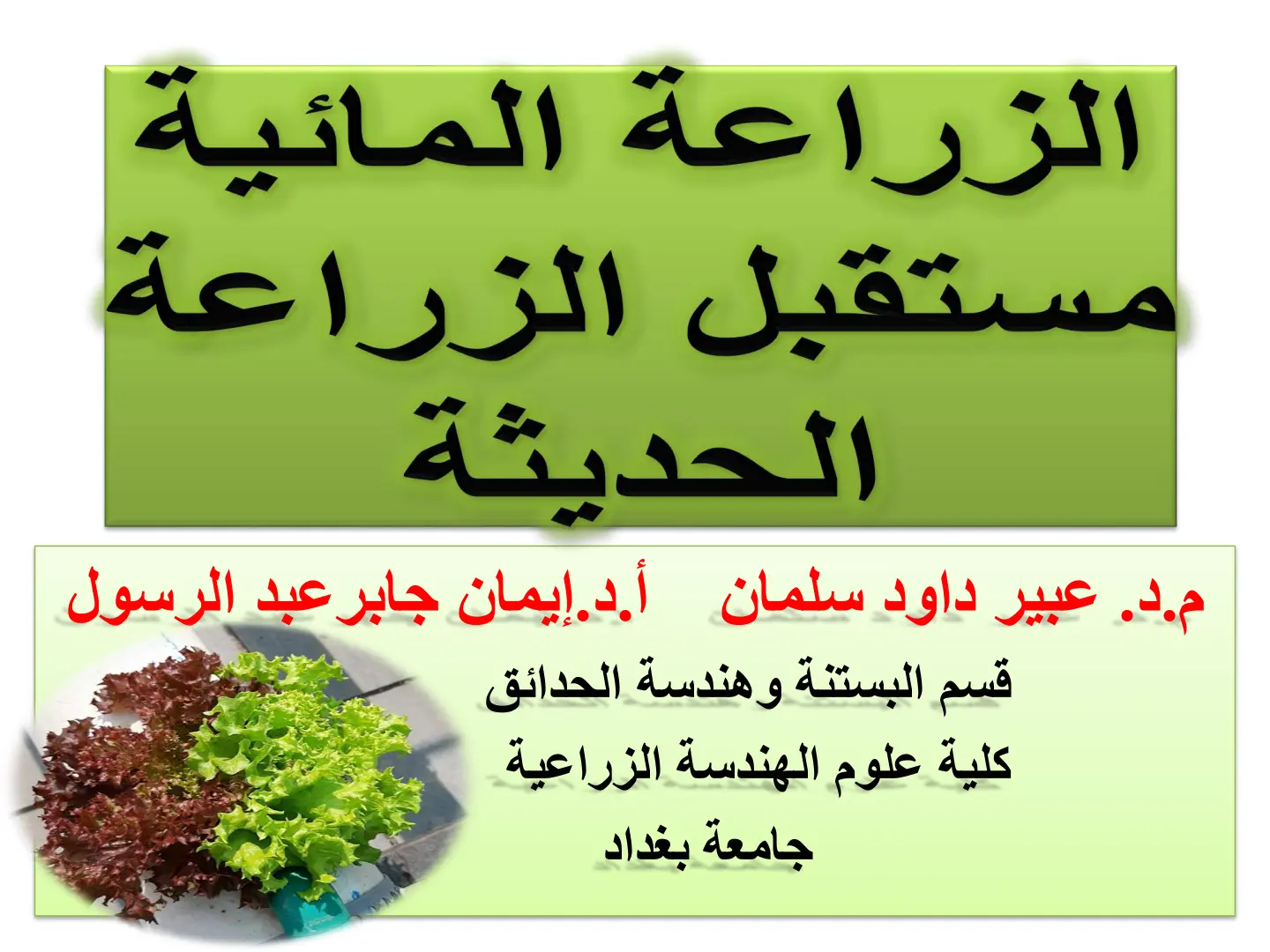 غلاف تقرير الزراعة المائية: مستقبل الزراعة الحديثة