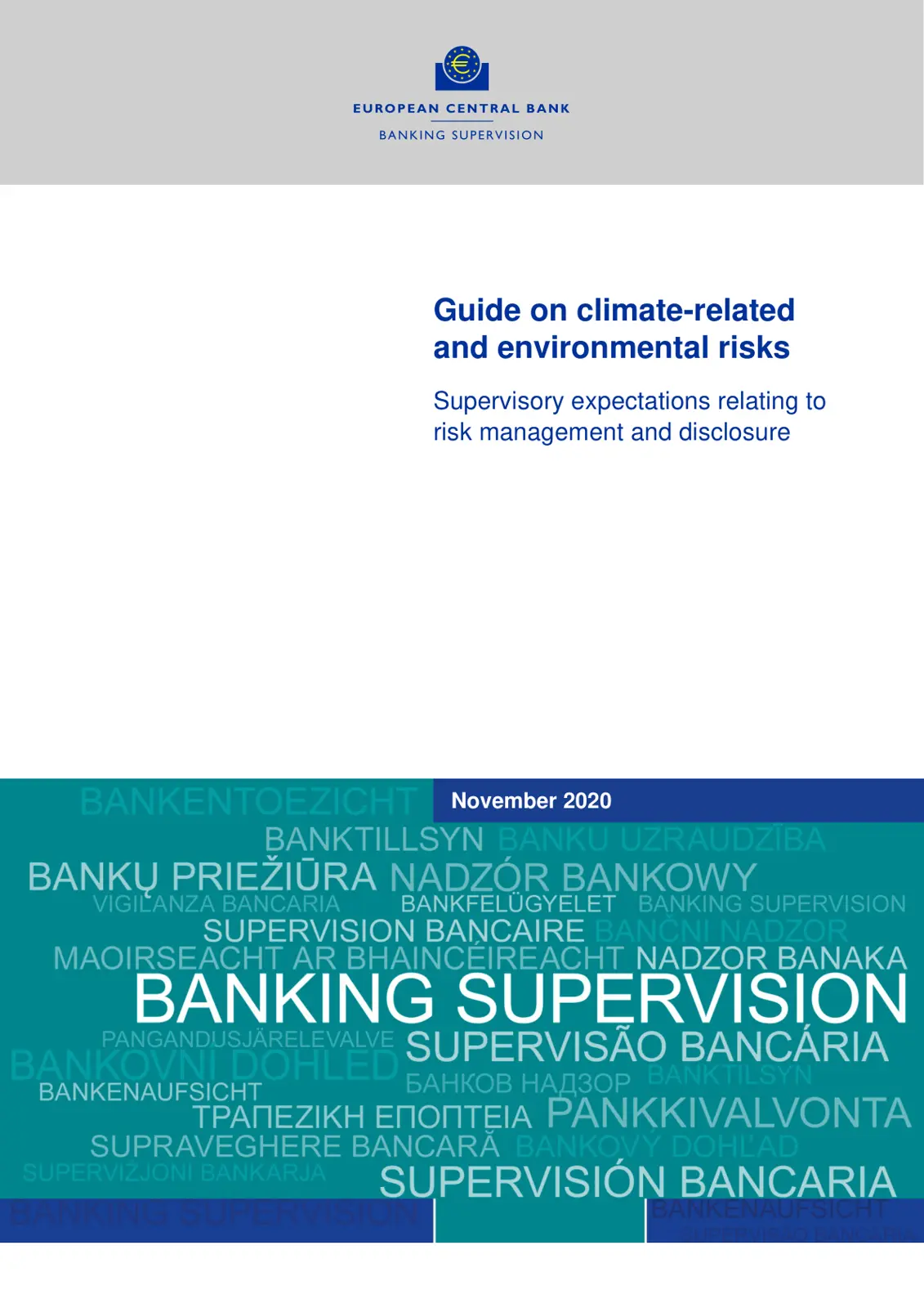 غلاف تقرير Guide on Climate-related and Environmental Risks: Supervisory Expectations Relating to Risk Management and Disclosure