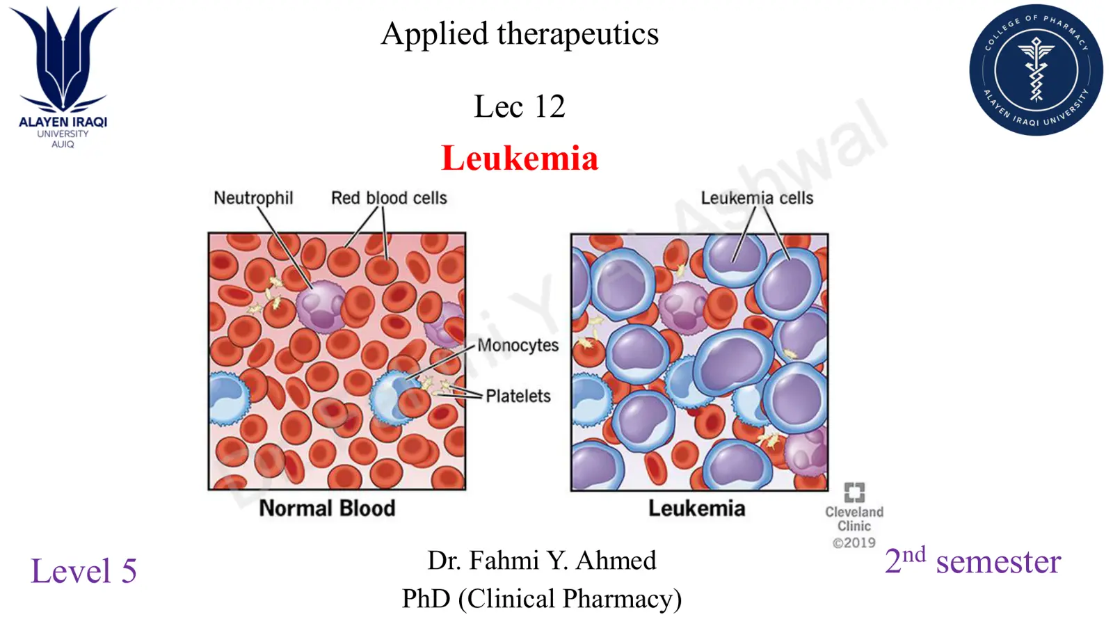 غلاف تقرير Applied Therapeutics – Lec 12: Leukemia