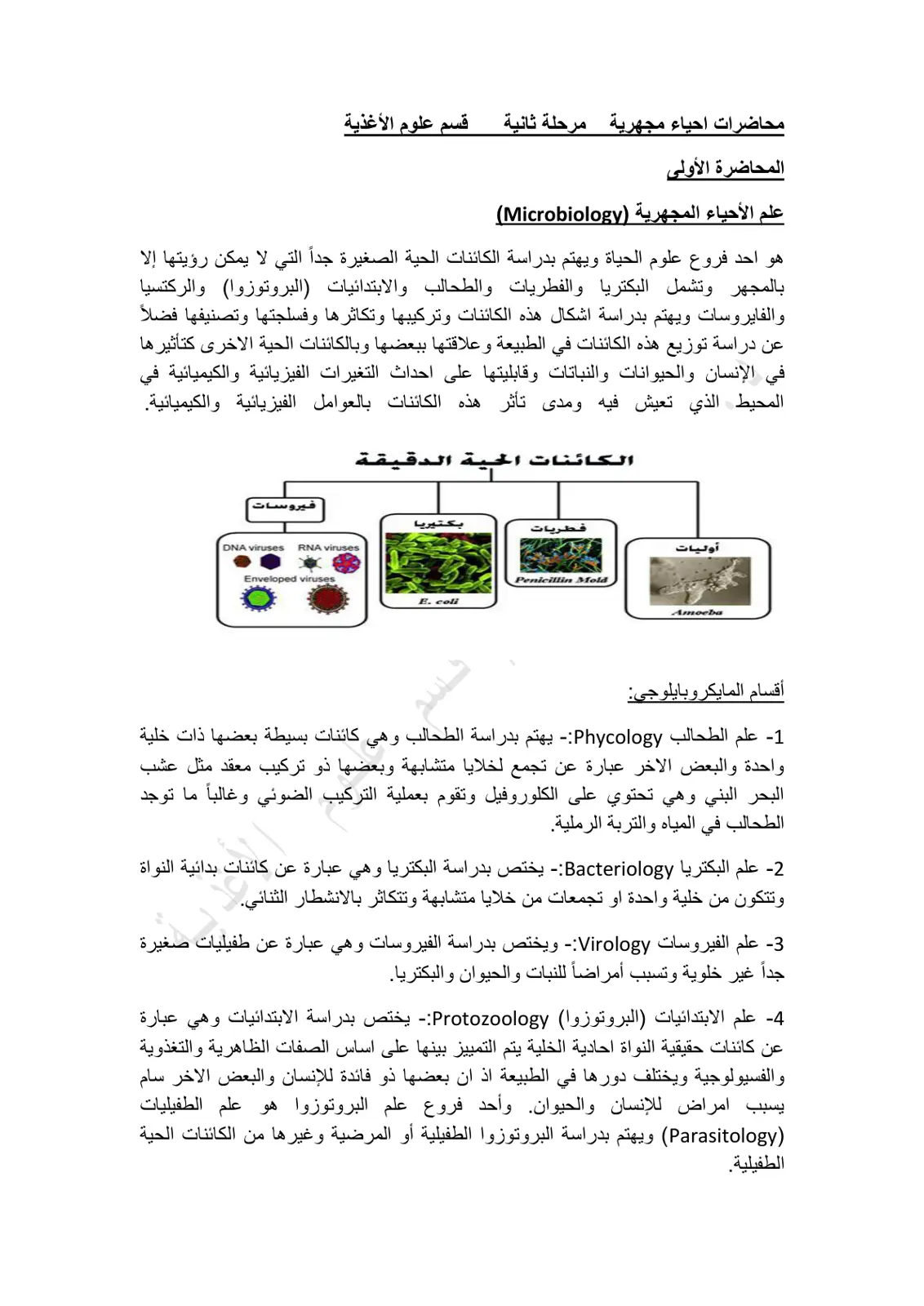 غلاف تقرير محاضرات احياء مجهرية مرحلة ثانية قسم علوم الأغذية