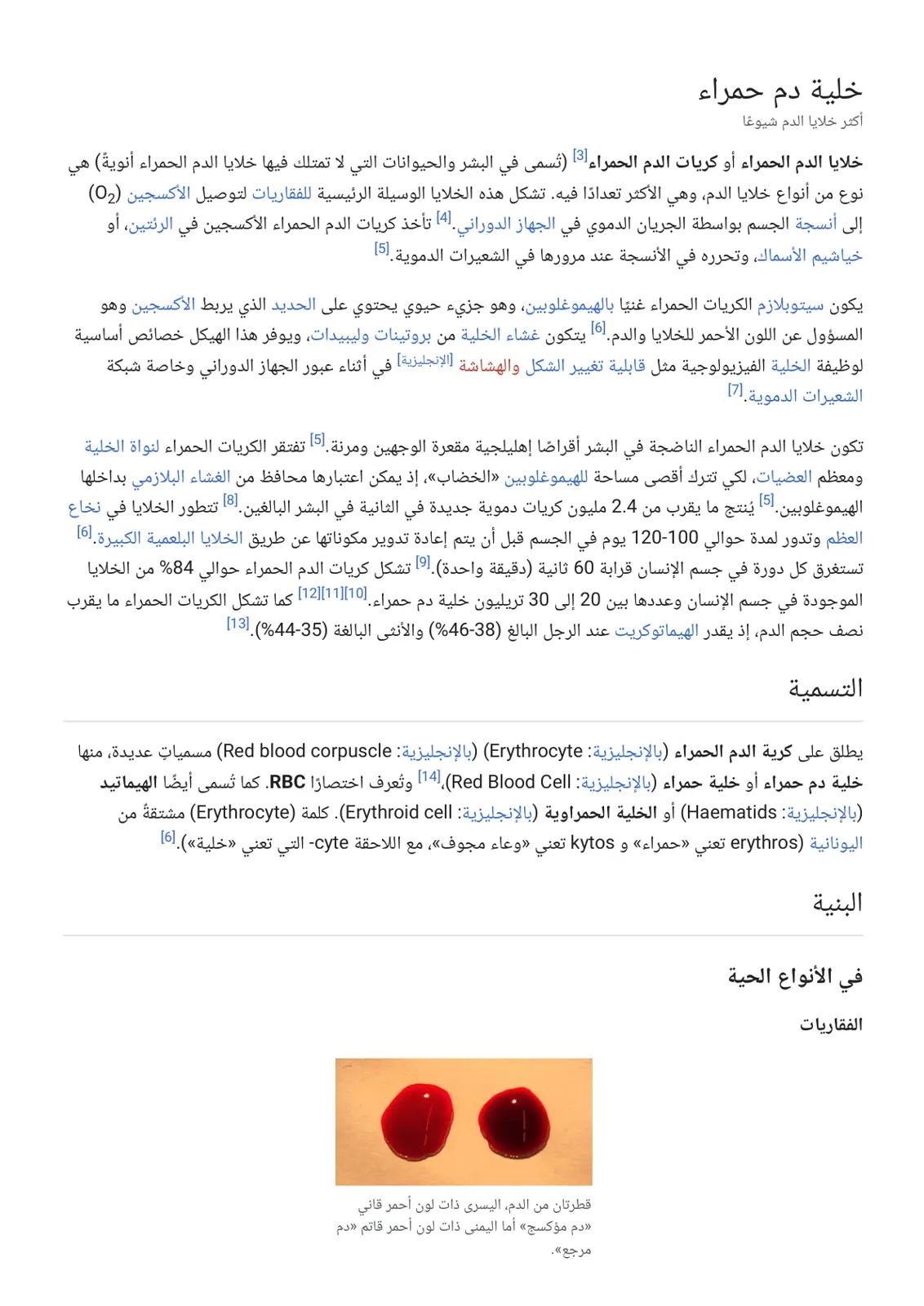 غلاف تقرير خلية دم حمراء