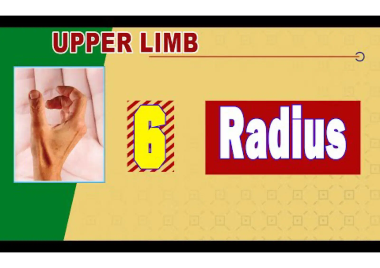 غلاف تقرير UPPER LIMB Radius