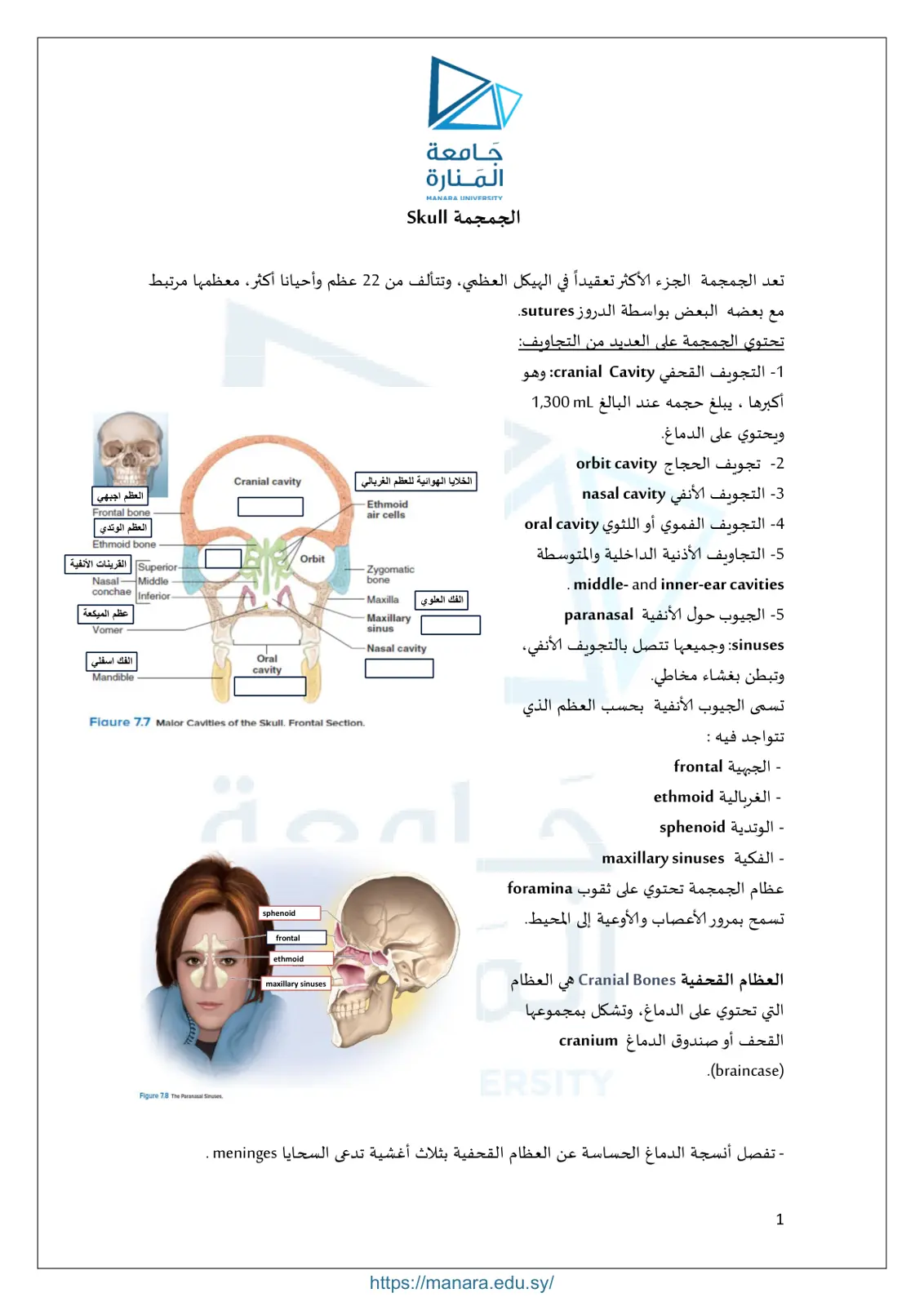 غلاف تقرير الجمجمة Skull