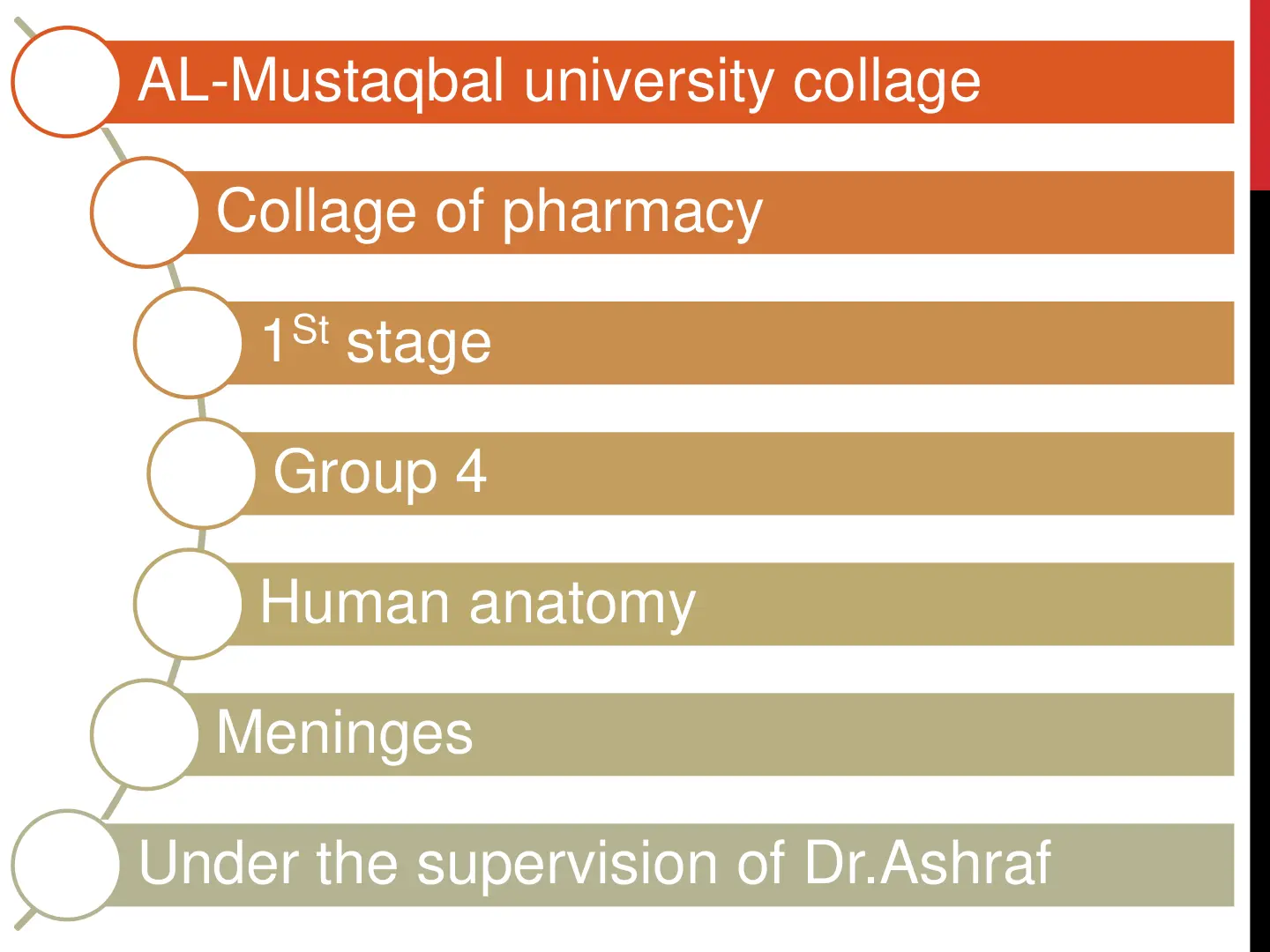 غلاف تقرير Human anatomy Meninges
