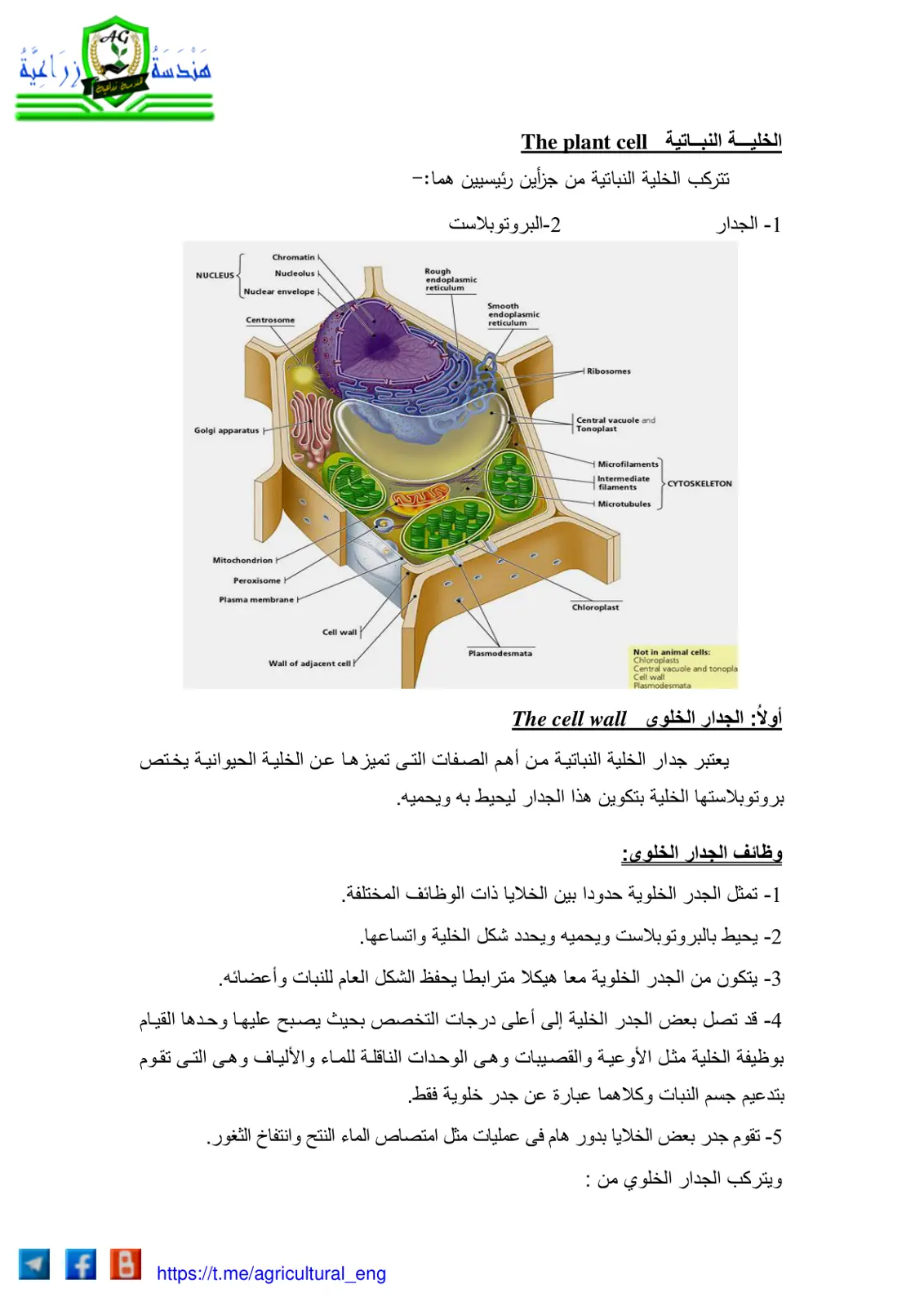 غلاف تقرير الخلية النباتية The plant cell