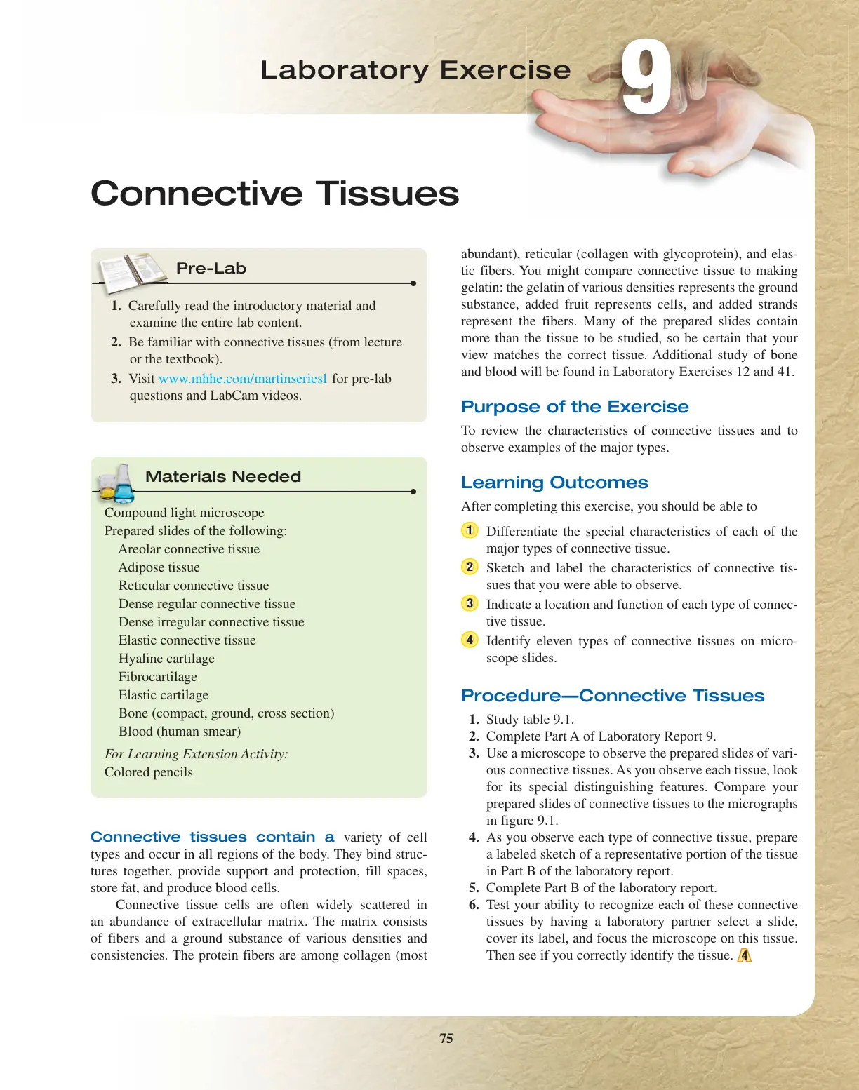 غلاف تقرير Laboratory Exercise Connective Tissues