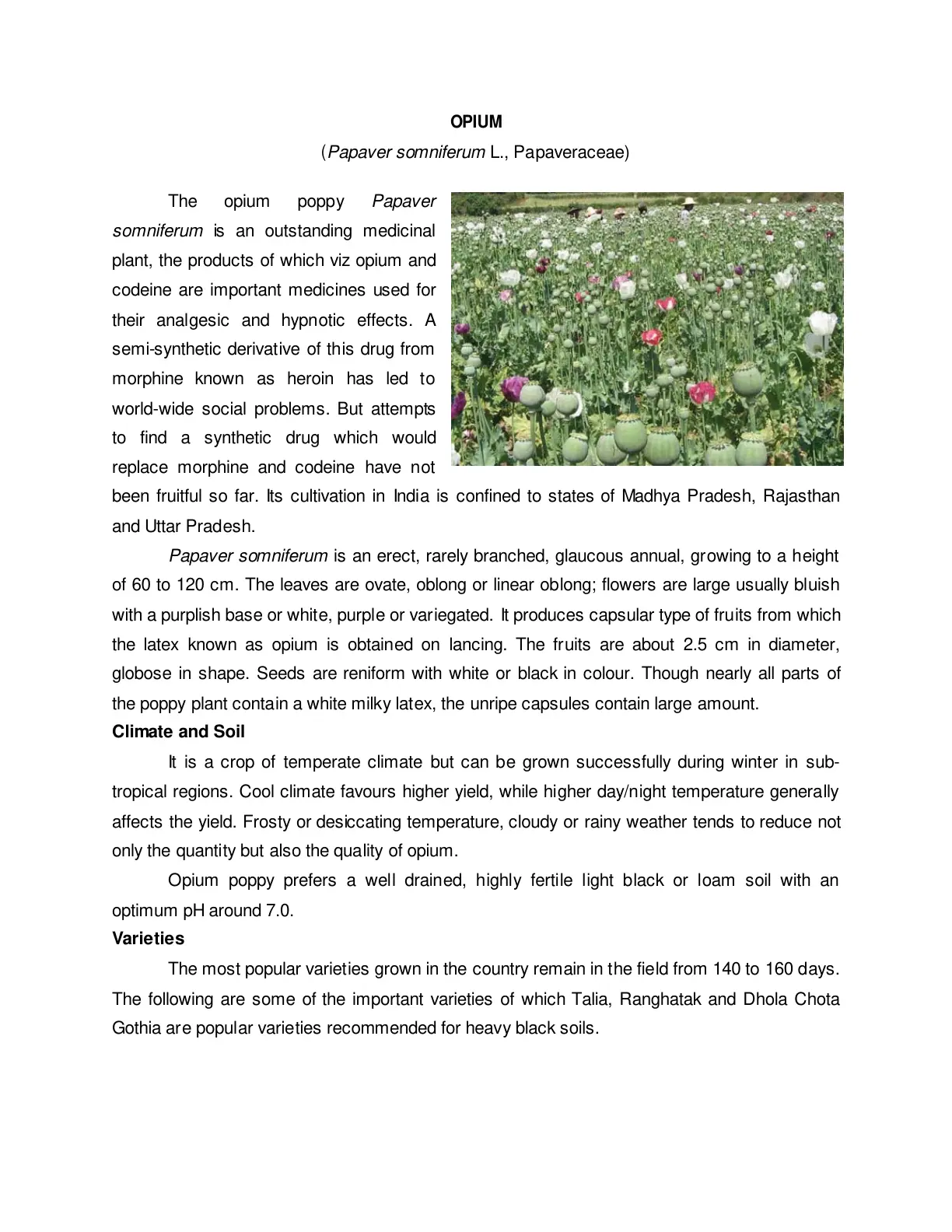 غلاف تقرير OPIUM
(Papaver somniferum L., Papaveraceae)