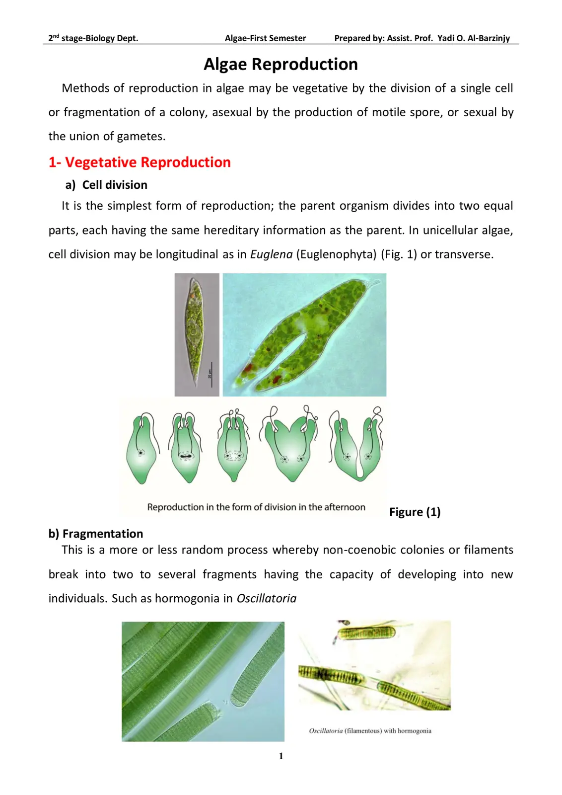غلاف تقرير Algae Reproduction