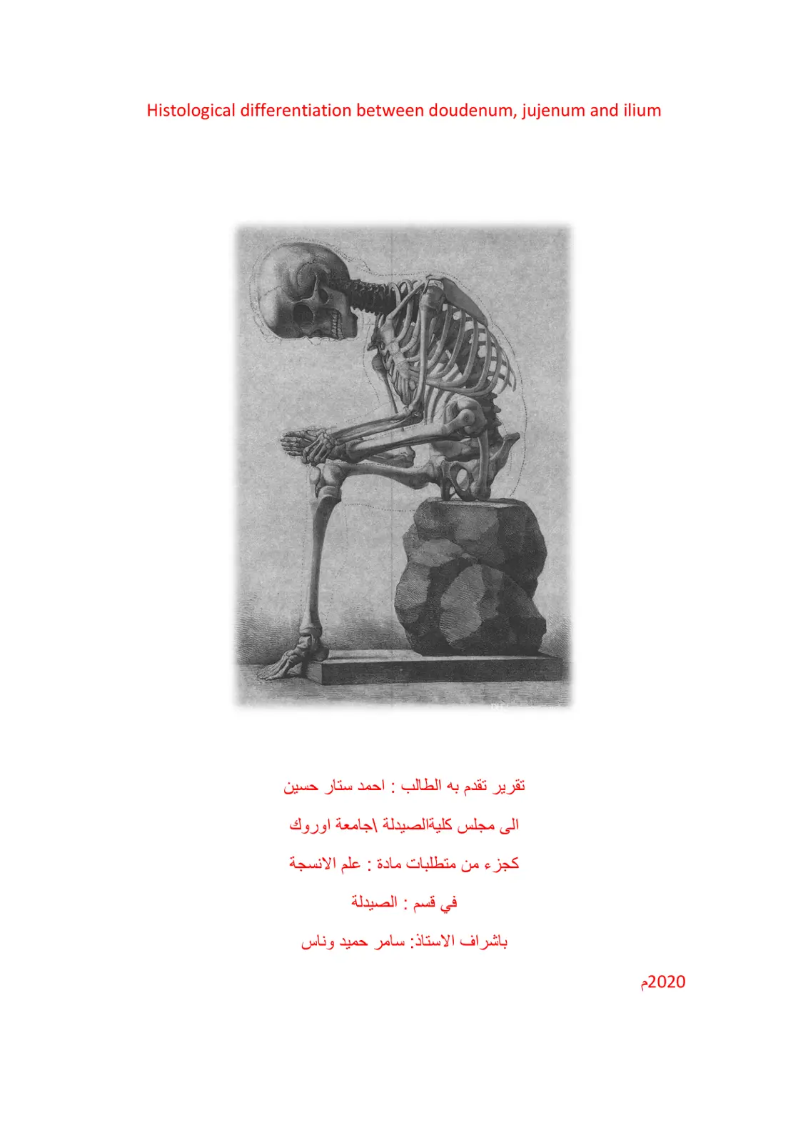 غلاف تقرير Histological differentiation between duodenum, jejunum and ileum