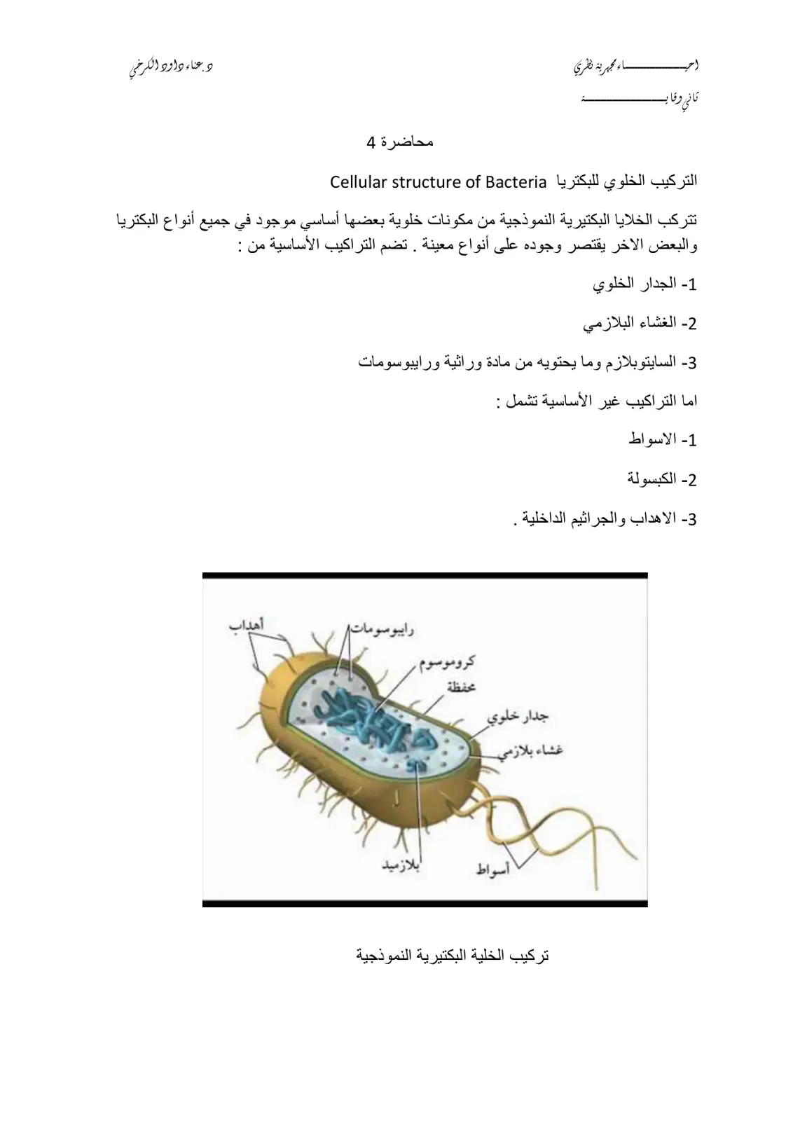 غلاف تقرير محاضرة 4: التركيب الخلوي للبكتريا