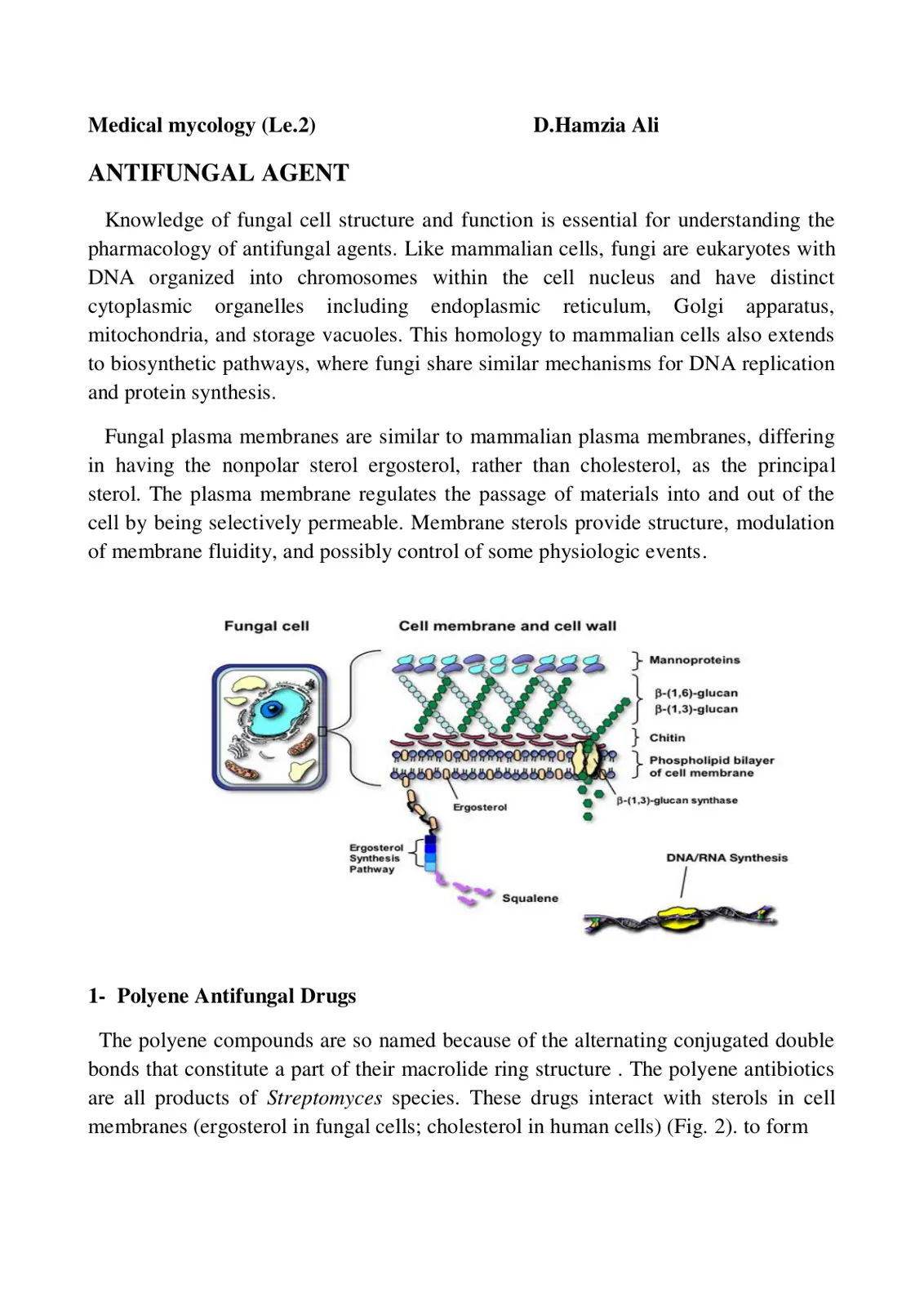غلاف تقرير ANTIFUNGAL AGENT