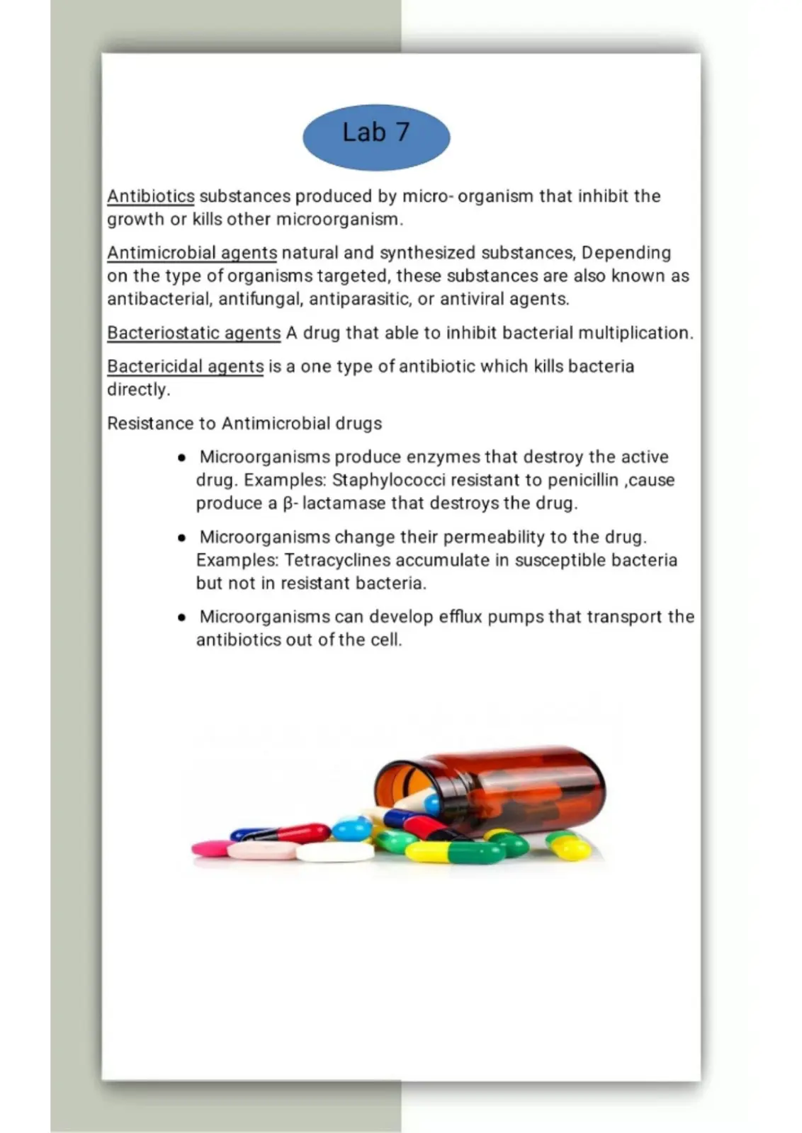 غلاف تقرير Lab 7 Antibiotics