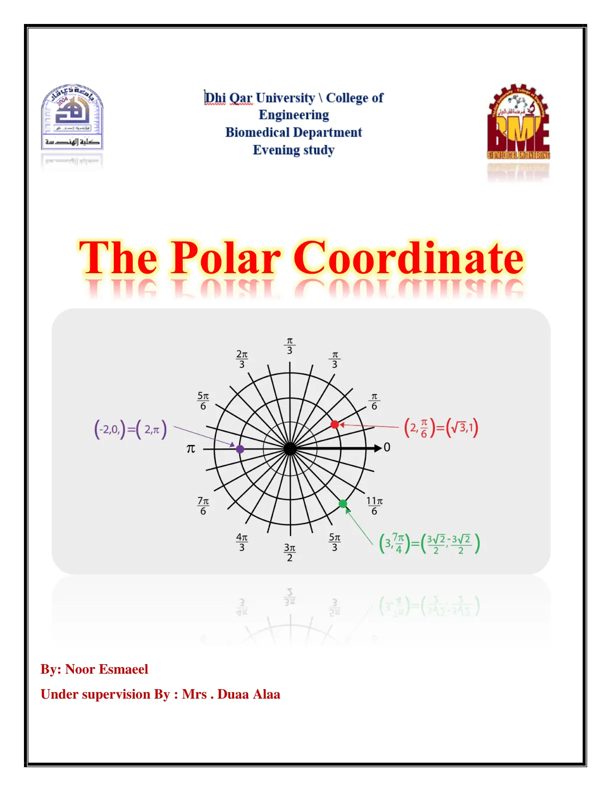 غلاف تقرير Biomedical Engineering - The Polar Coordinate System