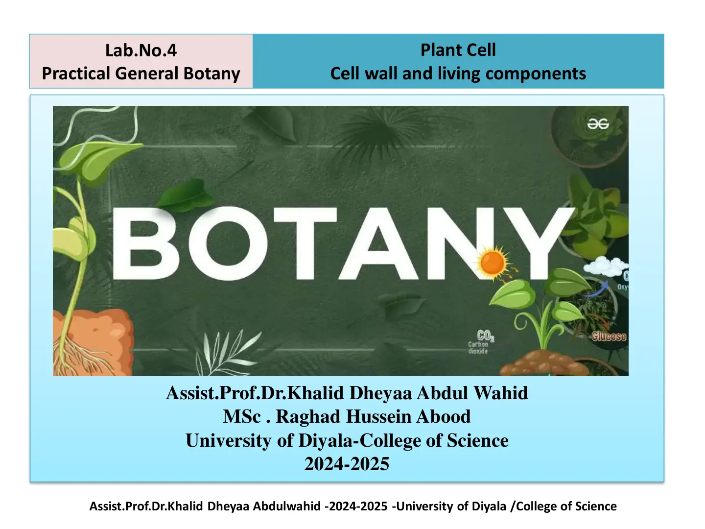 غلاف تقرير Practical General Botany - Lab. No.4 Plant Cell - Cell wall and living components