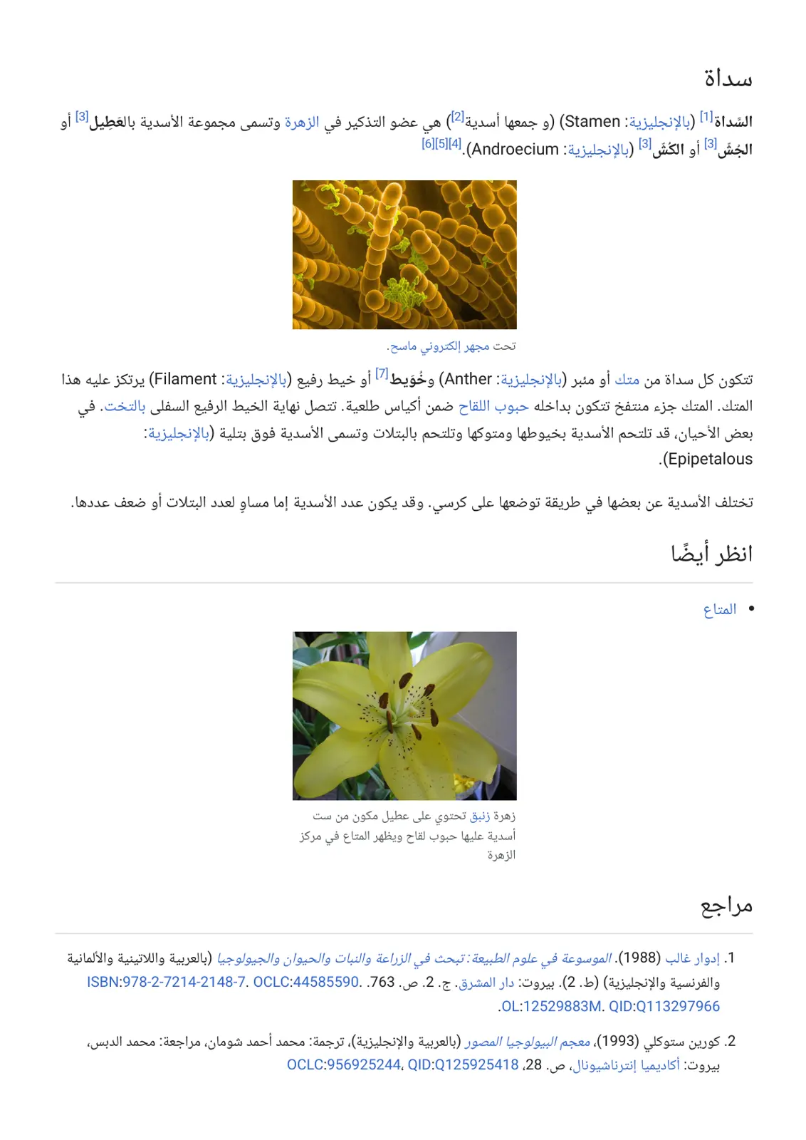 غلاف تقرير السداة (Stamen)