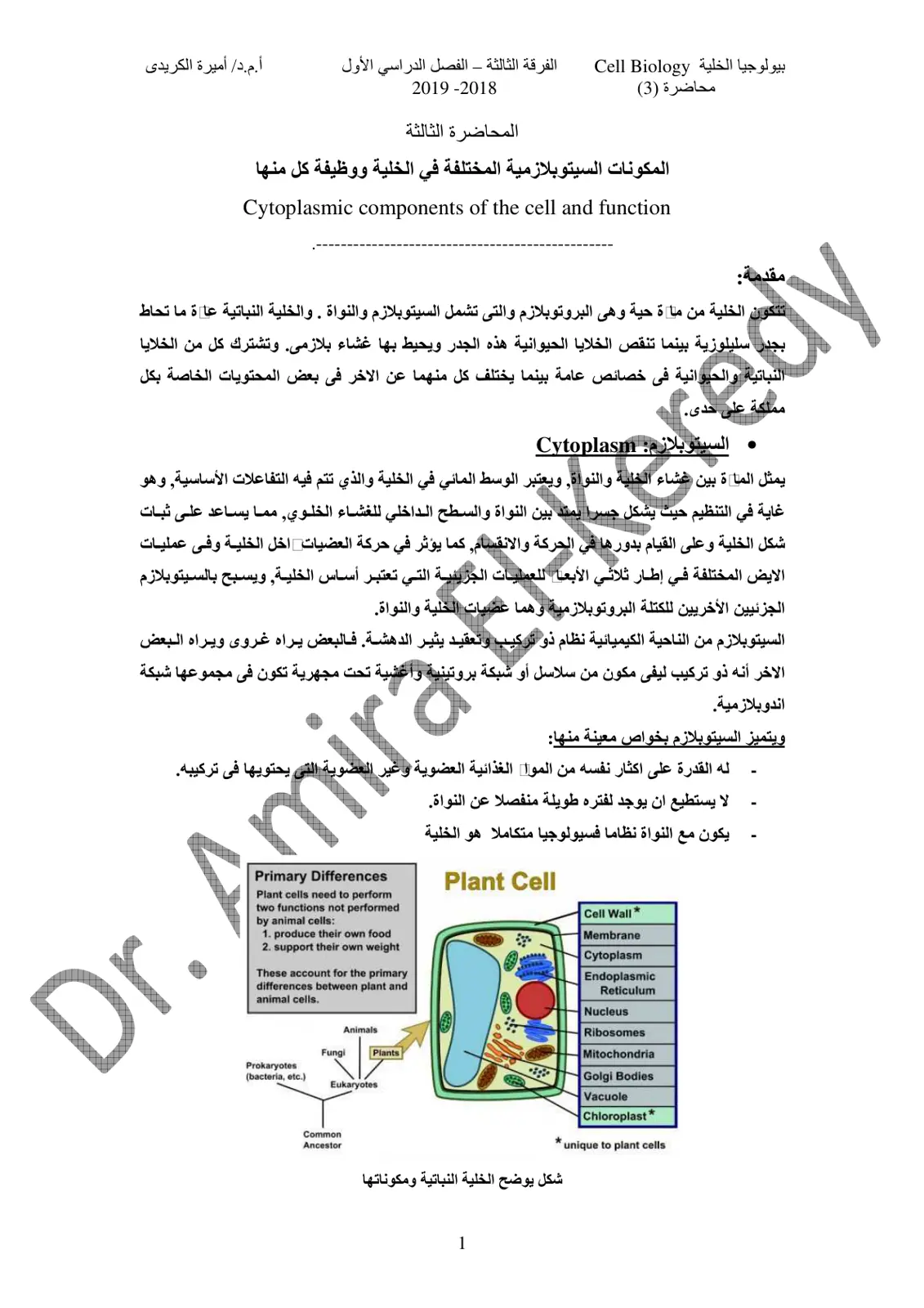 غلاف تقرير المكونات السيتوبلازمية المختلفة في الخلية ووظيفة كل منها