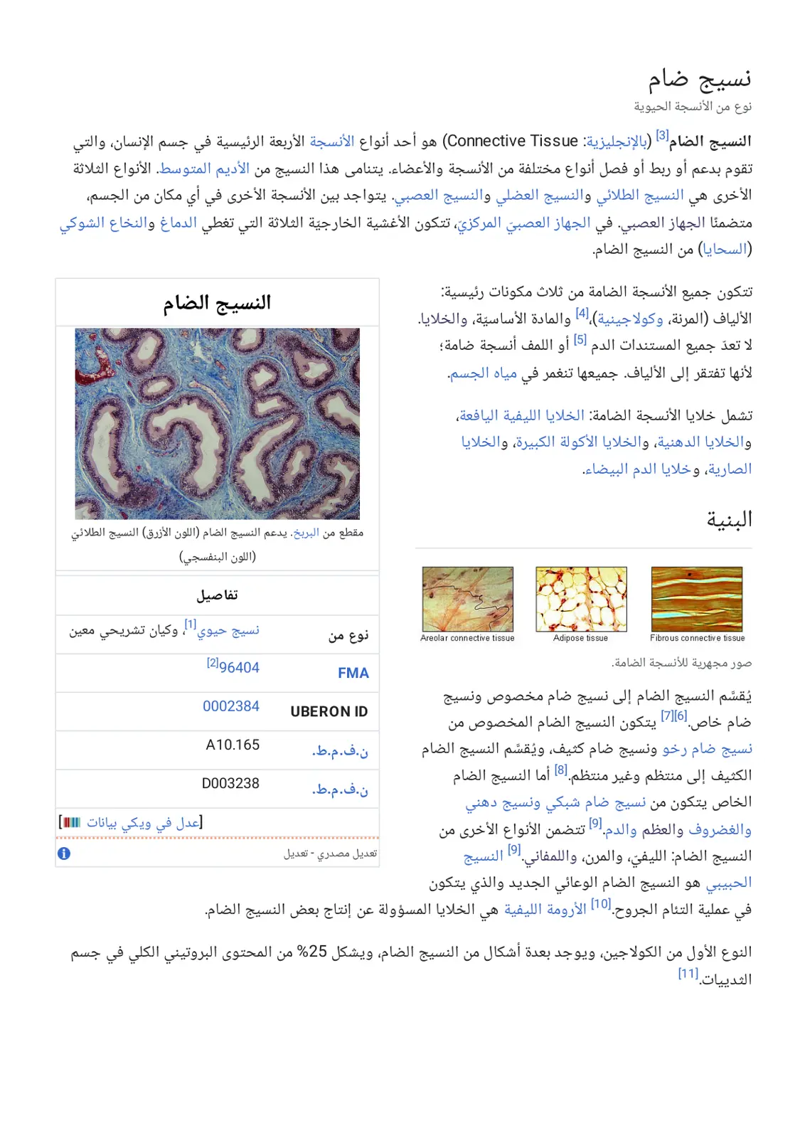 غلاف تقرير النسيج الضام – Connective Tissue
