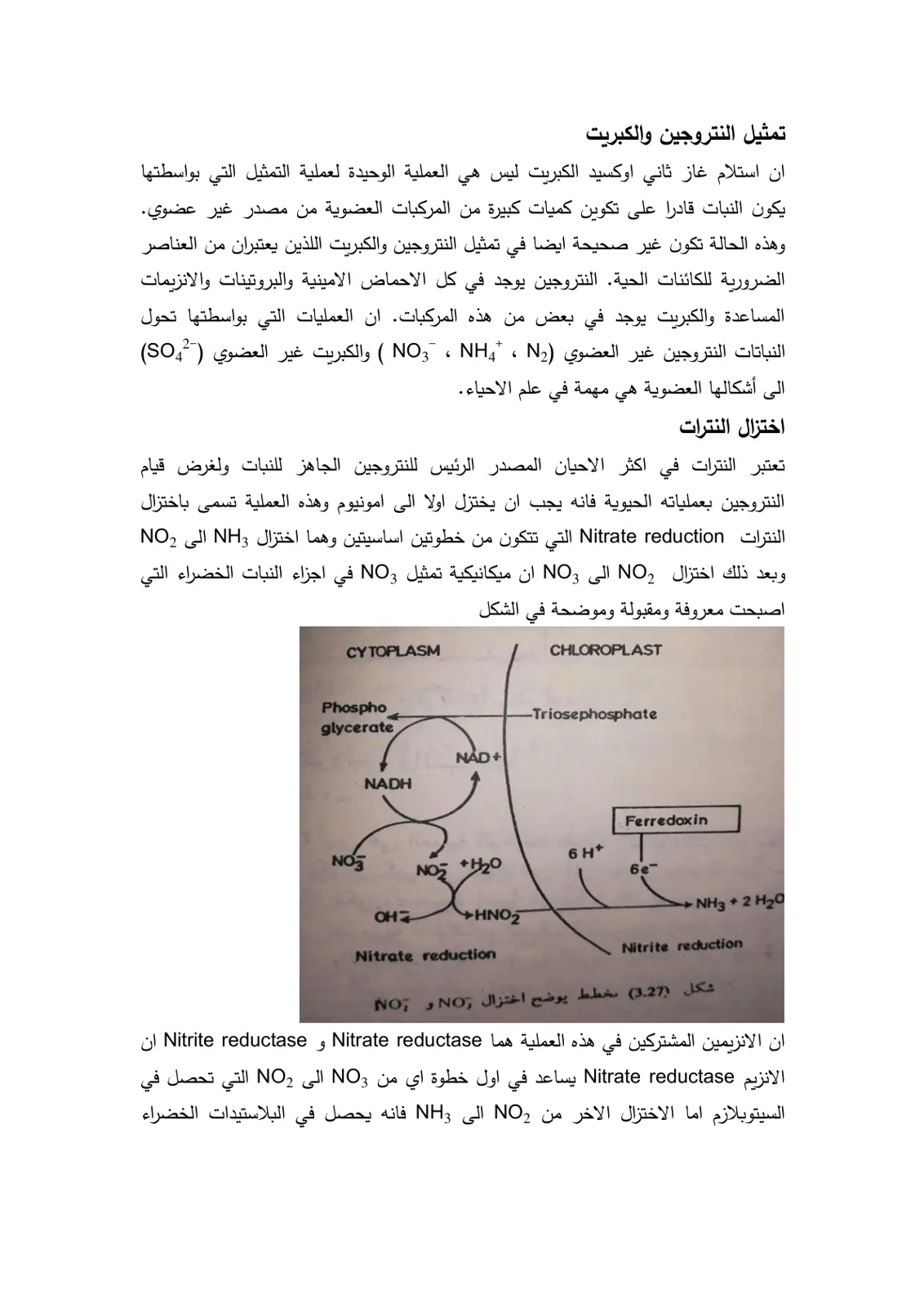 غلاف تقرير تمثيل النتروجين والكبريت