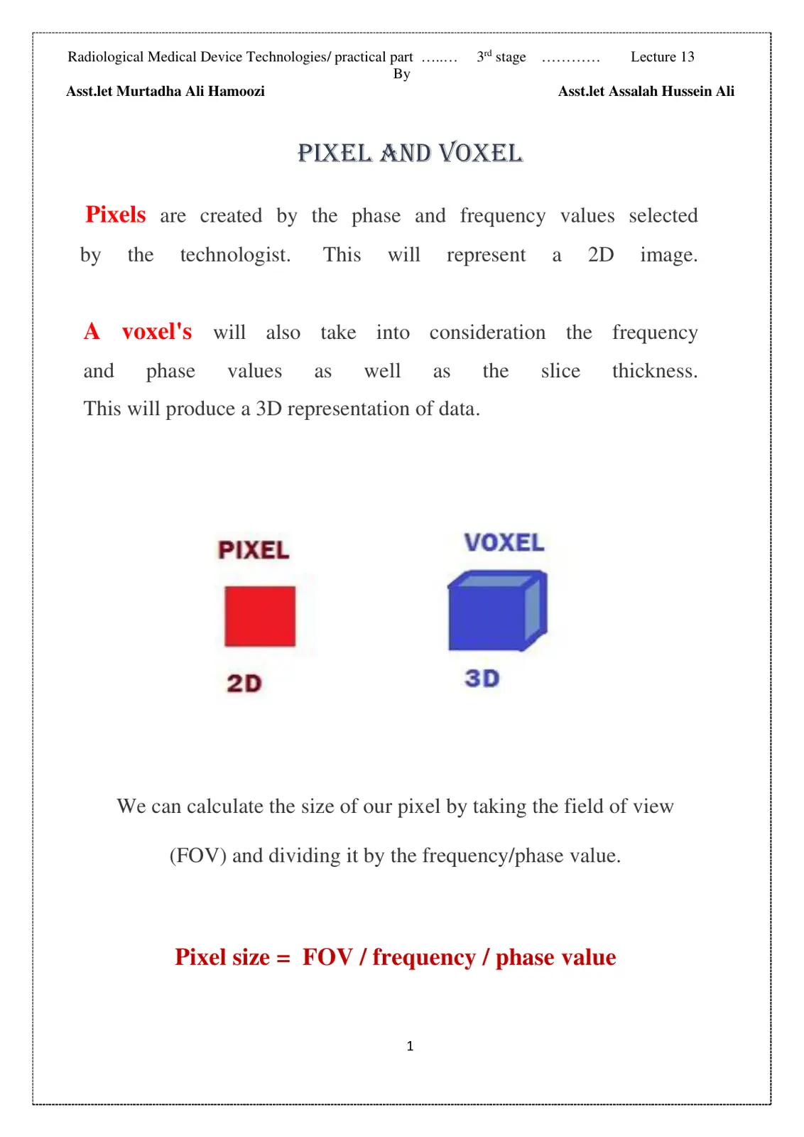 غلاف تقرير PIXEL AND VOXEL