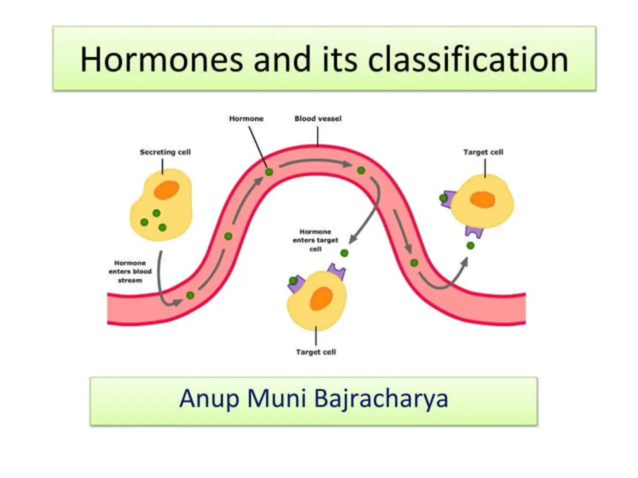 غلاف تقرير Hormones and its classification