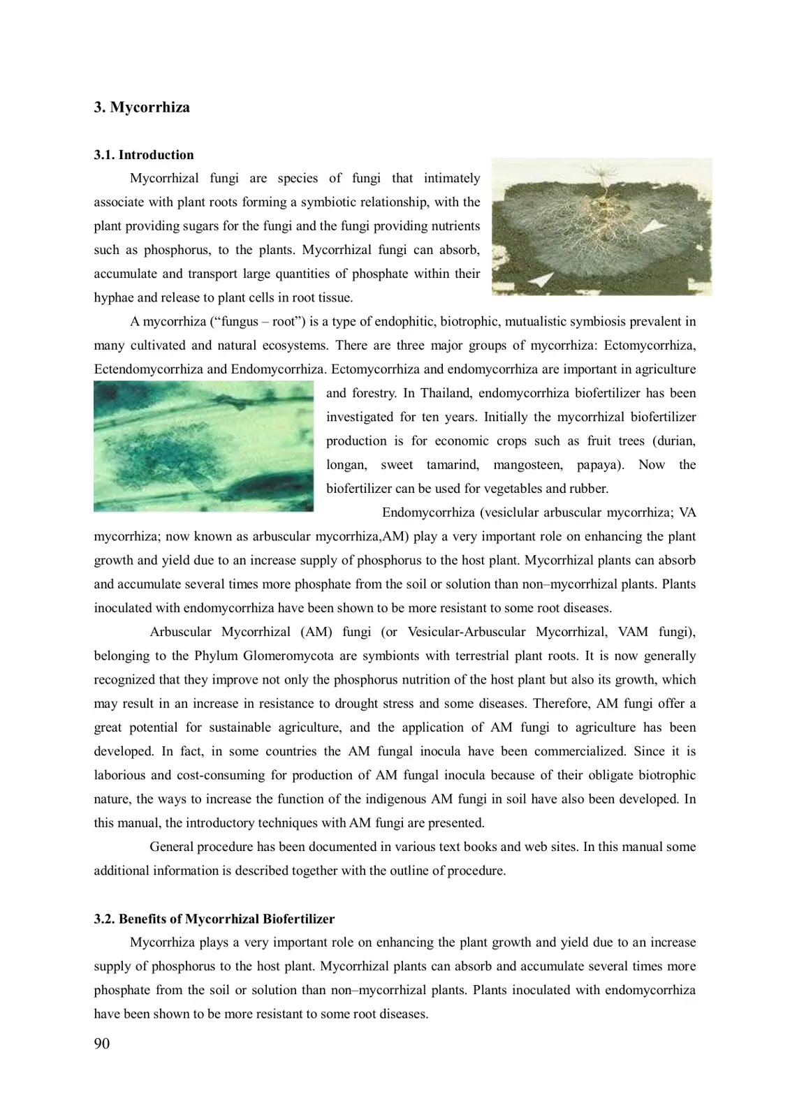 غلاف تقرير Mycorrhiza