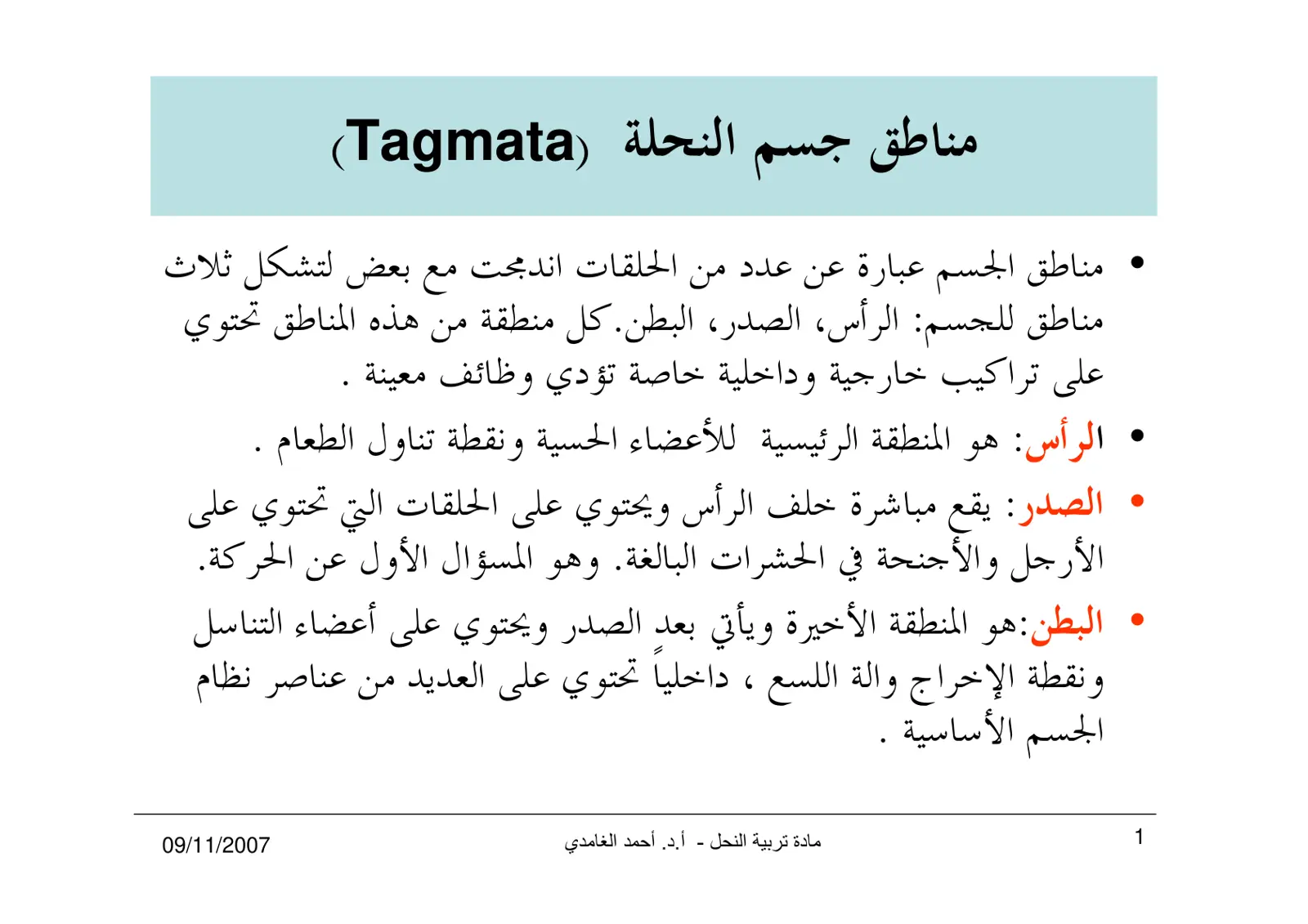 غلاف تقرير مناطق جسم النحلة (Tagmata)