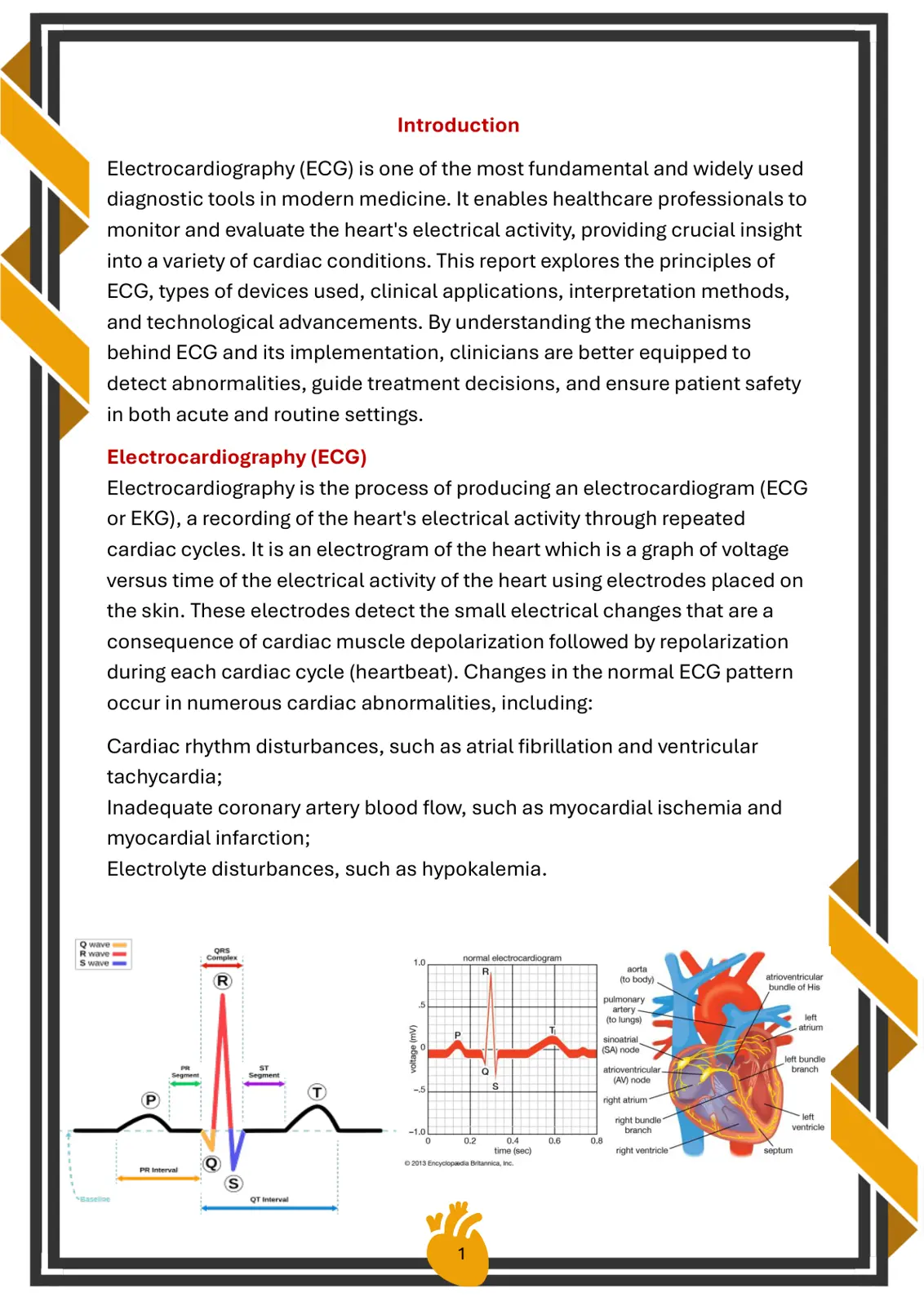 غلاف تقرير Introduction to Electrocardiography (ECG)