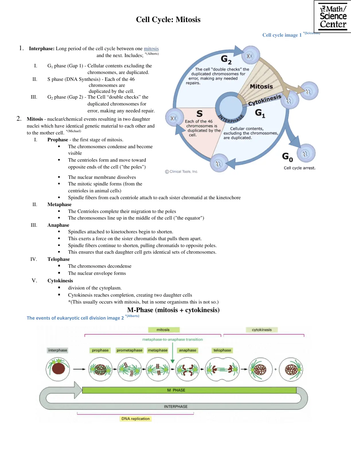 غلاف تقرير Cell Cycle: Mitosis