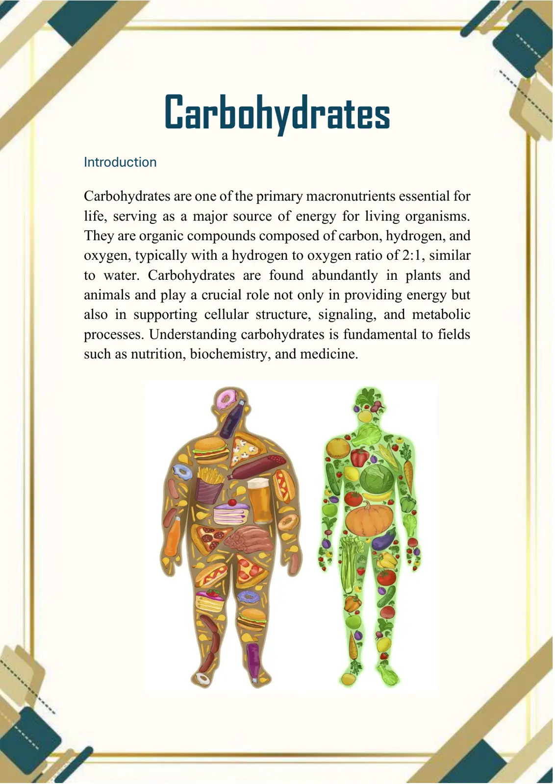 غلاف تقرير Carbohydrates