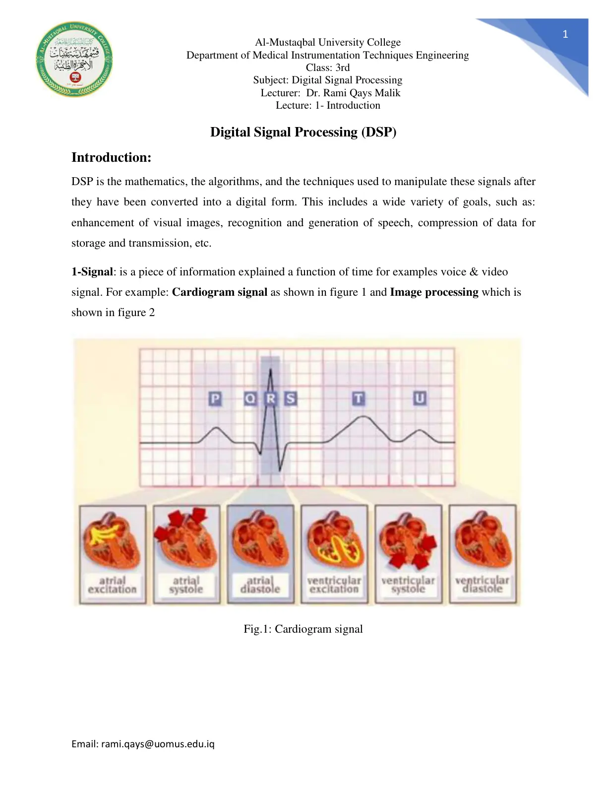 غلاف تقرير Digital Signal Processing (DSP)