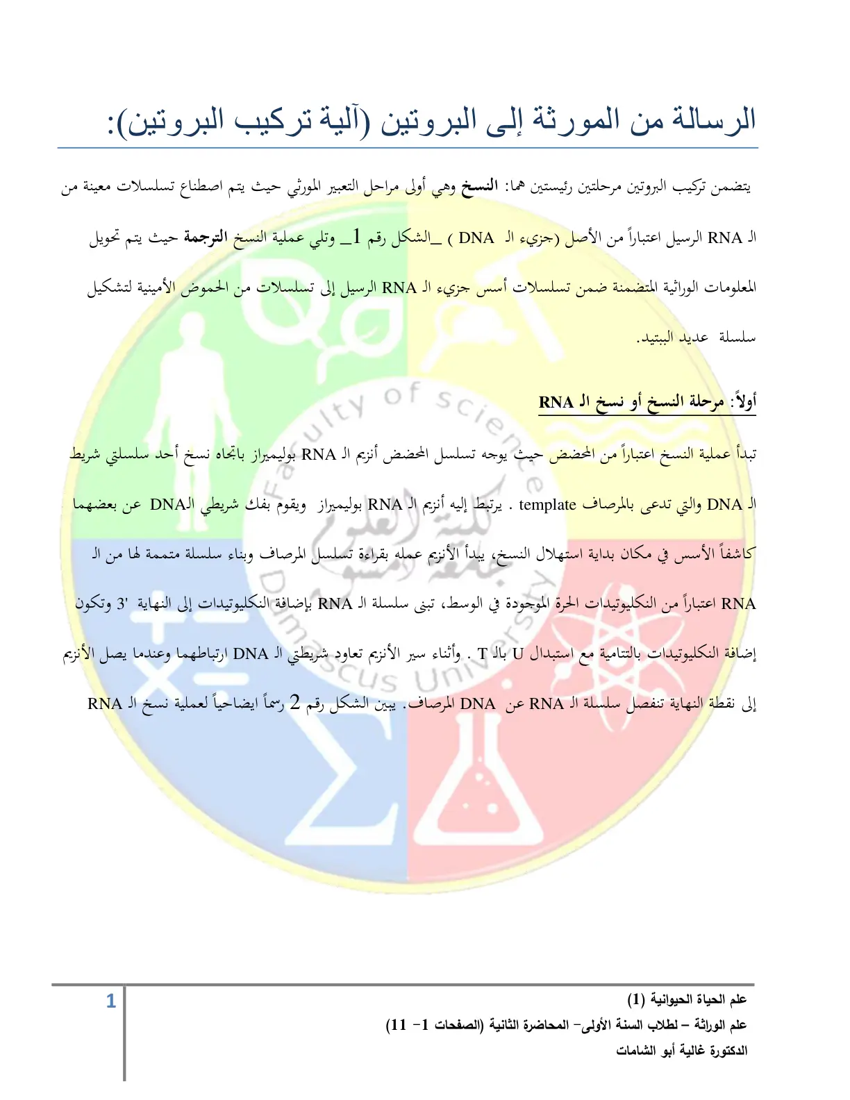 غلاف تقرير آلية تركيب البروتين - من المورثة إلى البروتين