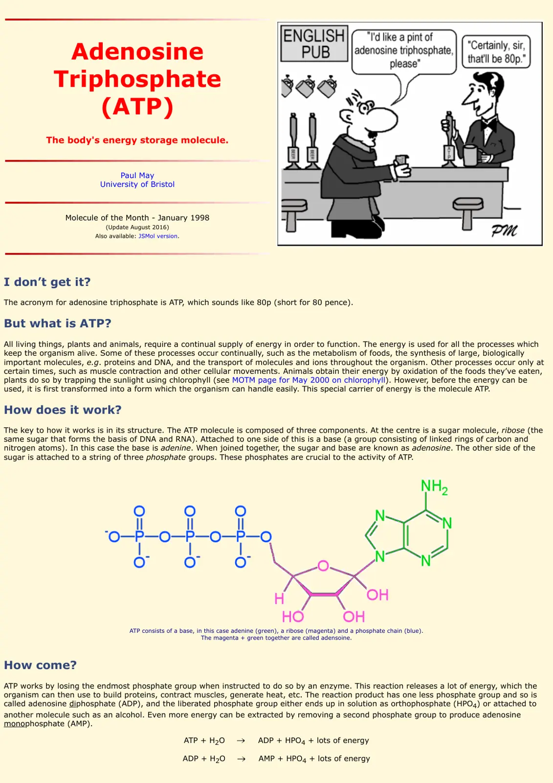 غلاف تقرير Adenosine Triphosphate (ATP)