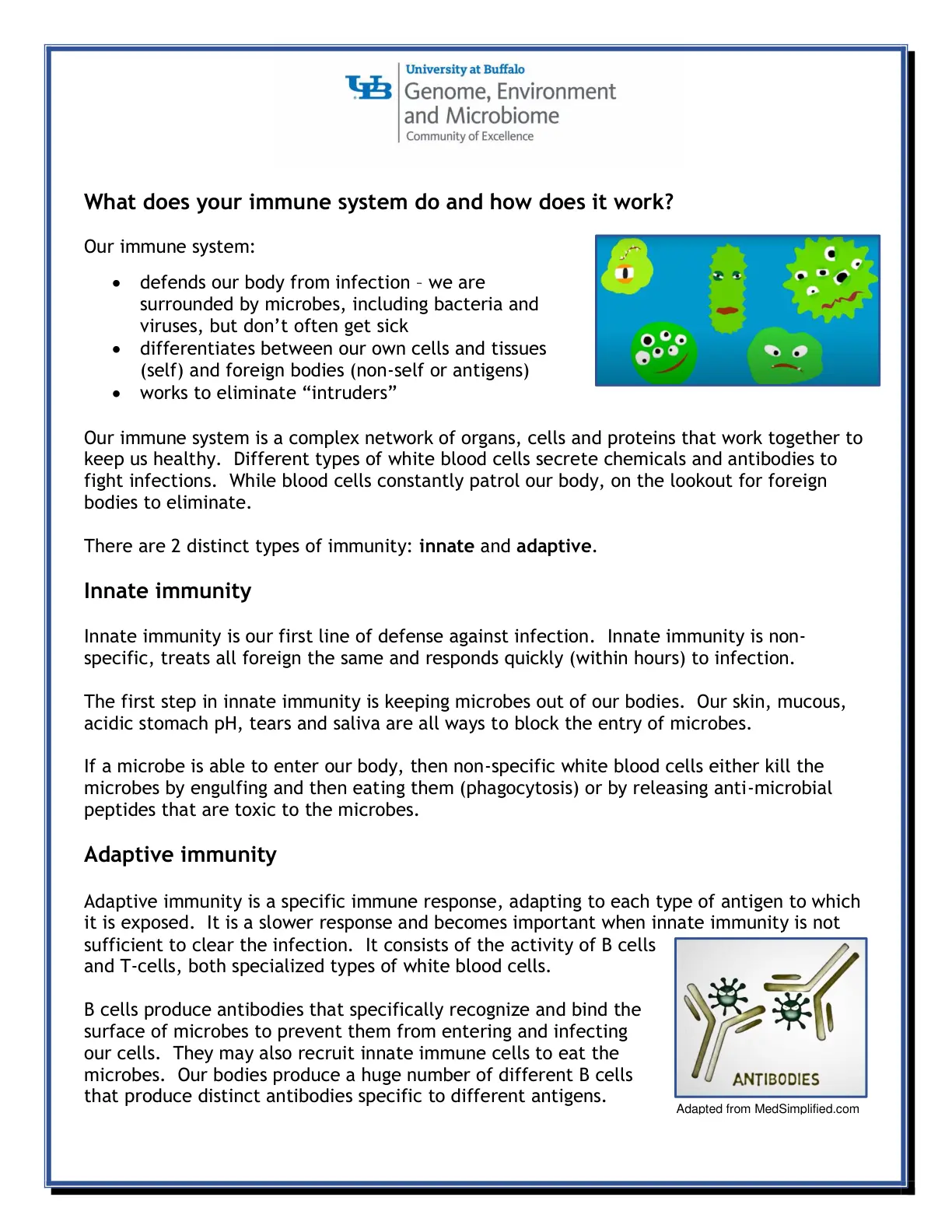 غلاف تقرير What does your immune system do and how does it work?
