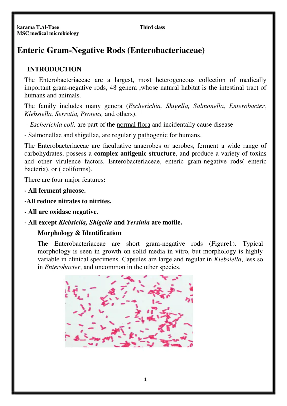 غلاف تقرير Enteric Gram-Negative Rods (Enterobacteriaceae)