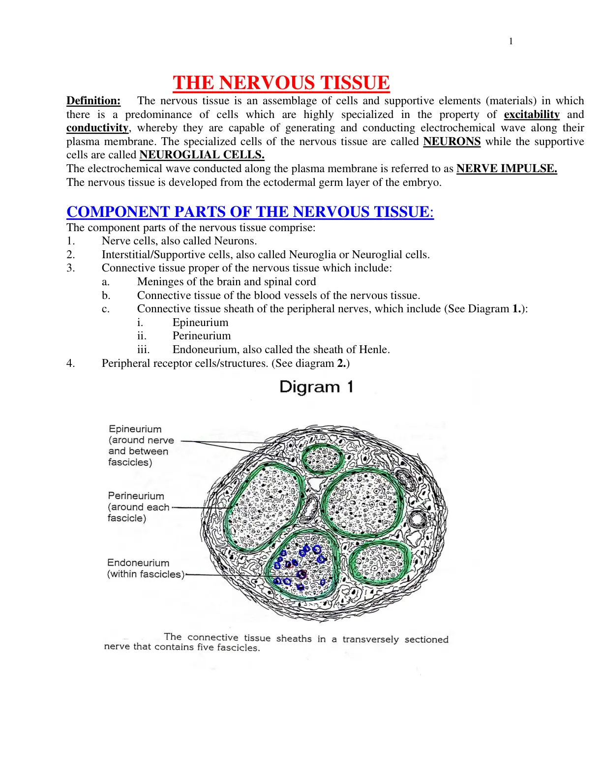 غلاف تقرير THE NERVOUS TISSUE