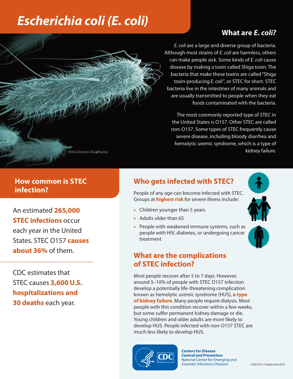 غلاف تقرير Escherichia coli (E. coli)
