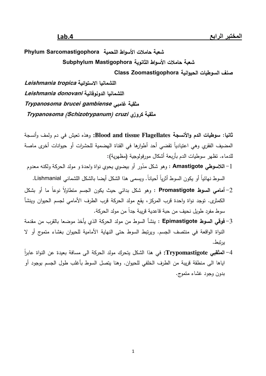غلاف تقرير المختبر الرابع - شعبة حاملات الأسواط اللحمية (Phylum Sarcomastigophora)