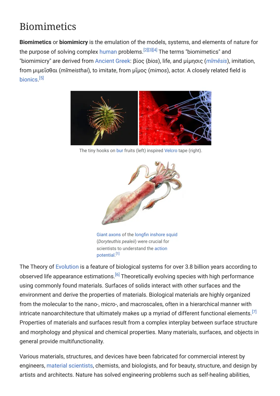 غلاف تقرير Biomimetics
