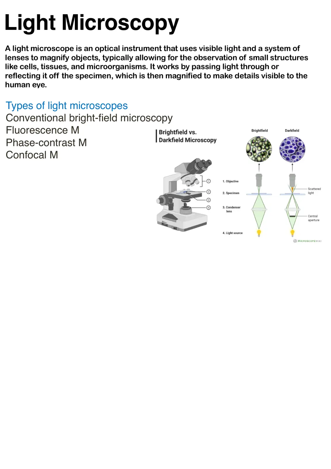 غلاف تقرير Light Microscopy
