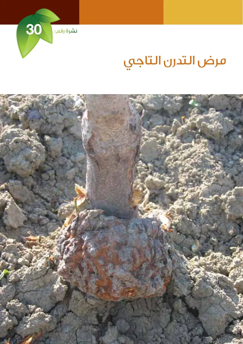 غلاف تقرير مرض التدرن التاجي