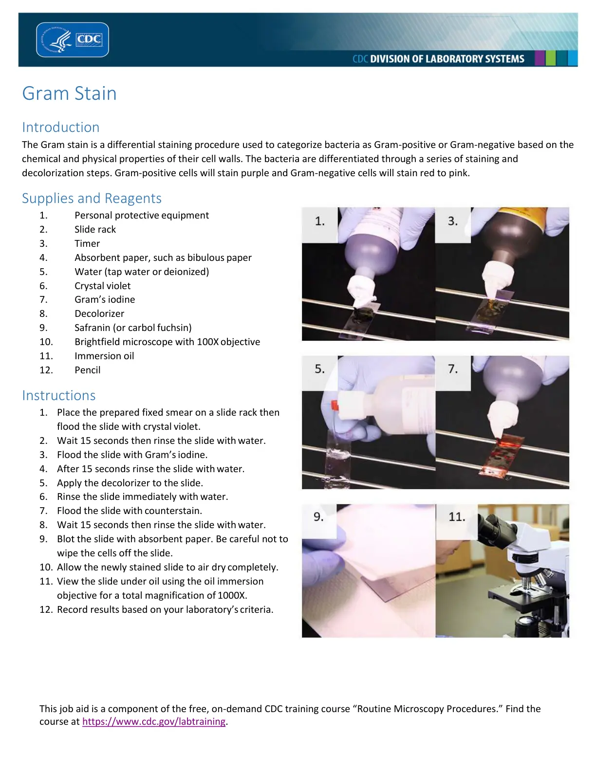 غلاف تقرير Gram Stain