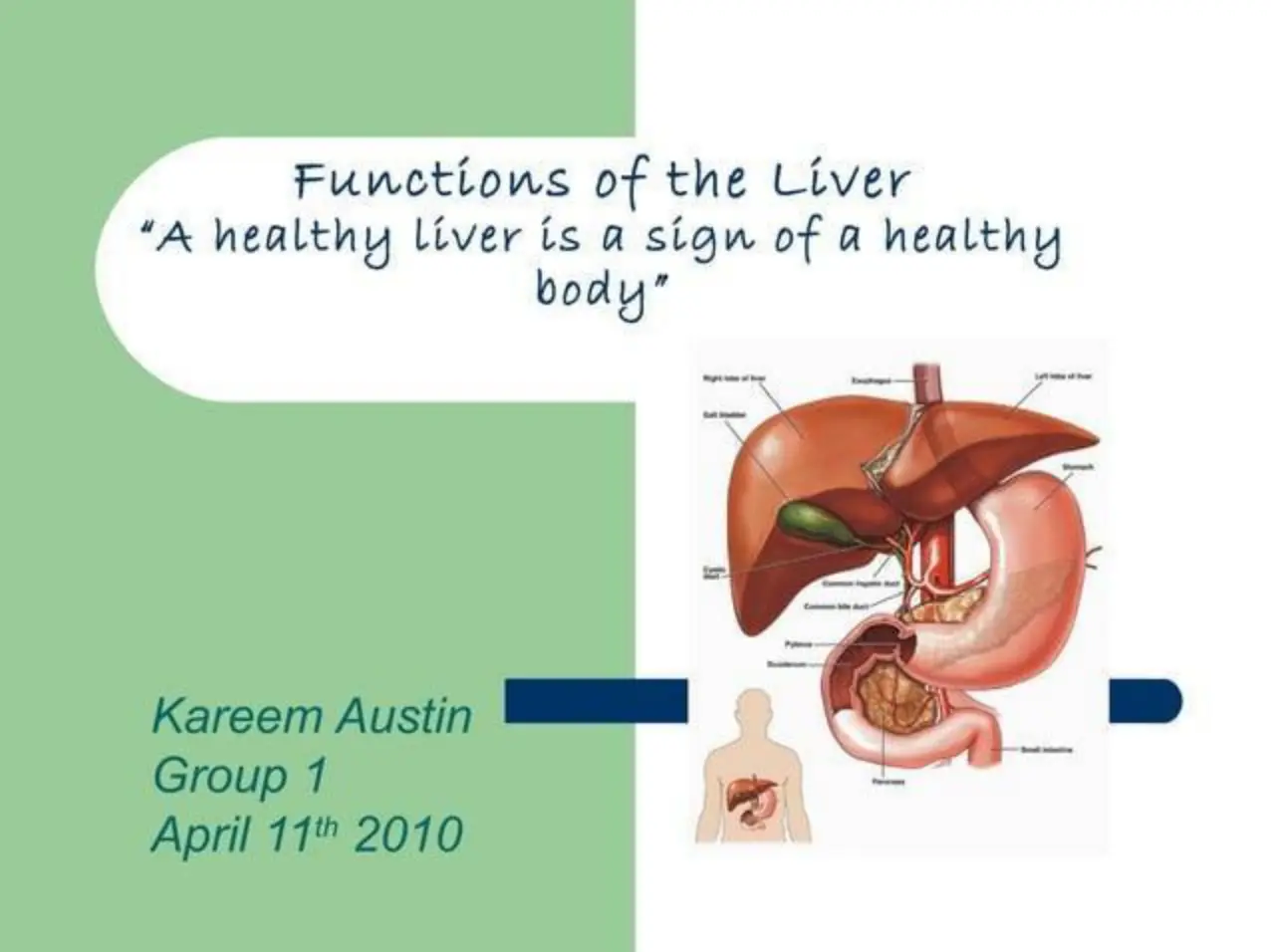 غلاف تقرير Functions of the Liver