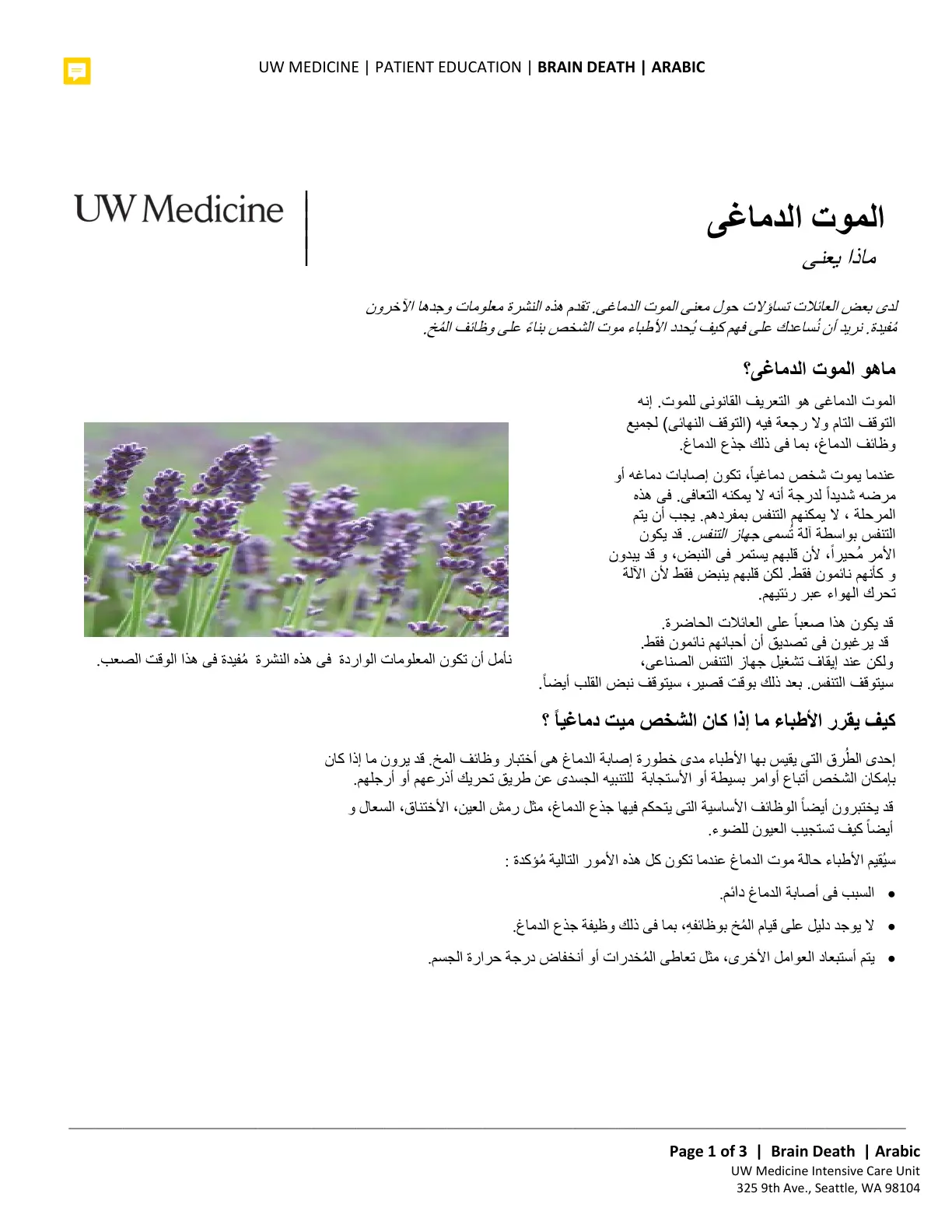 غلاف تقرير الموت الدماغي