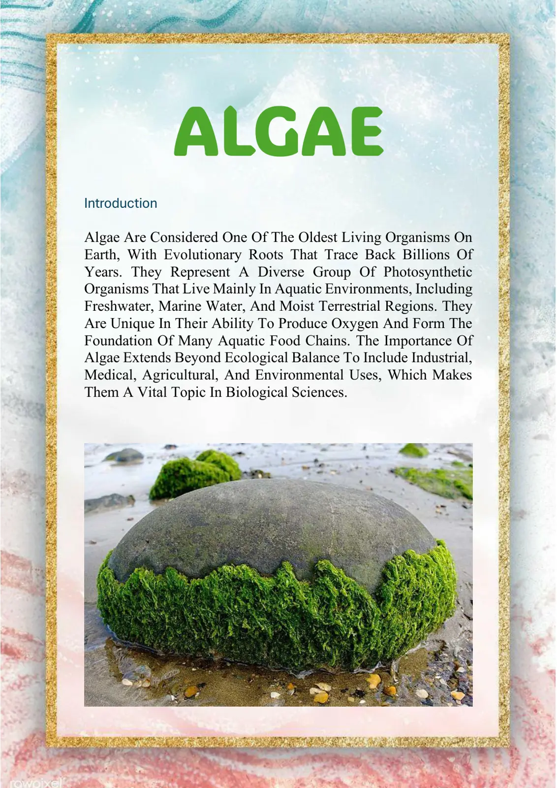 غلاف تقرير Algae